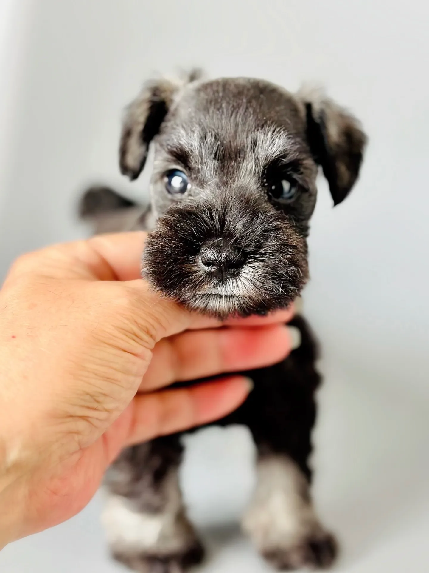 2025/04/21 生まれ　男の子