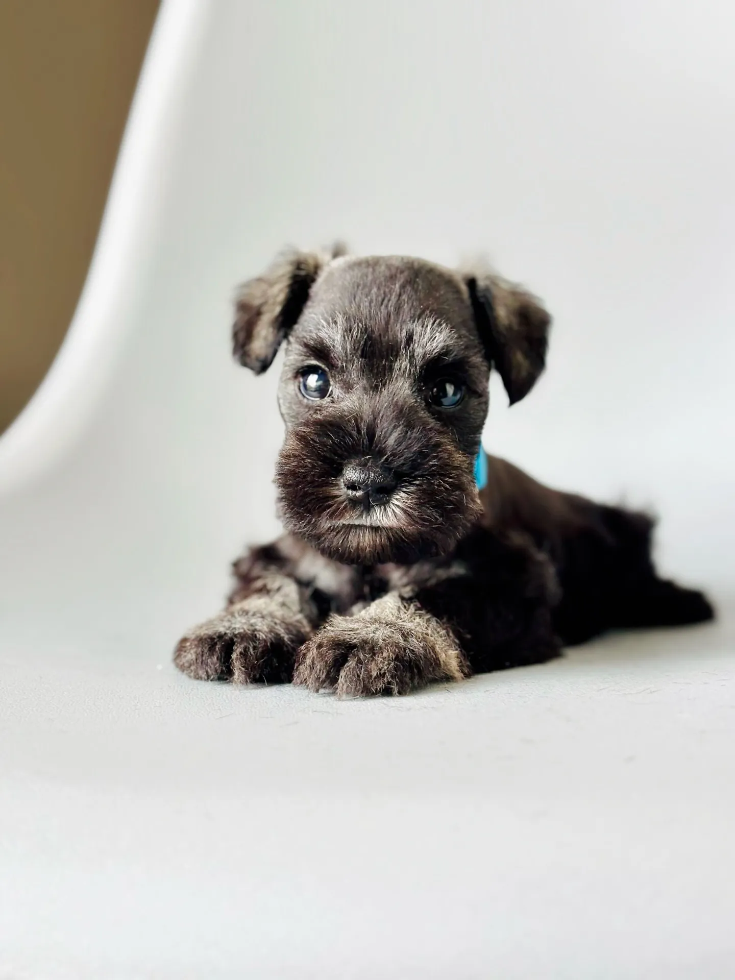 2025/04/21 生まれ　男の子