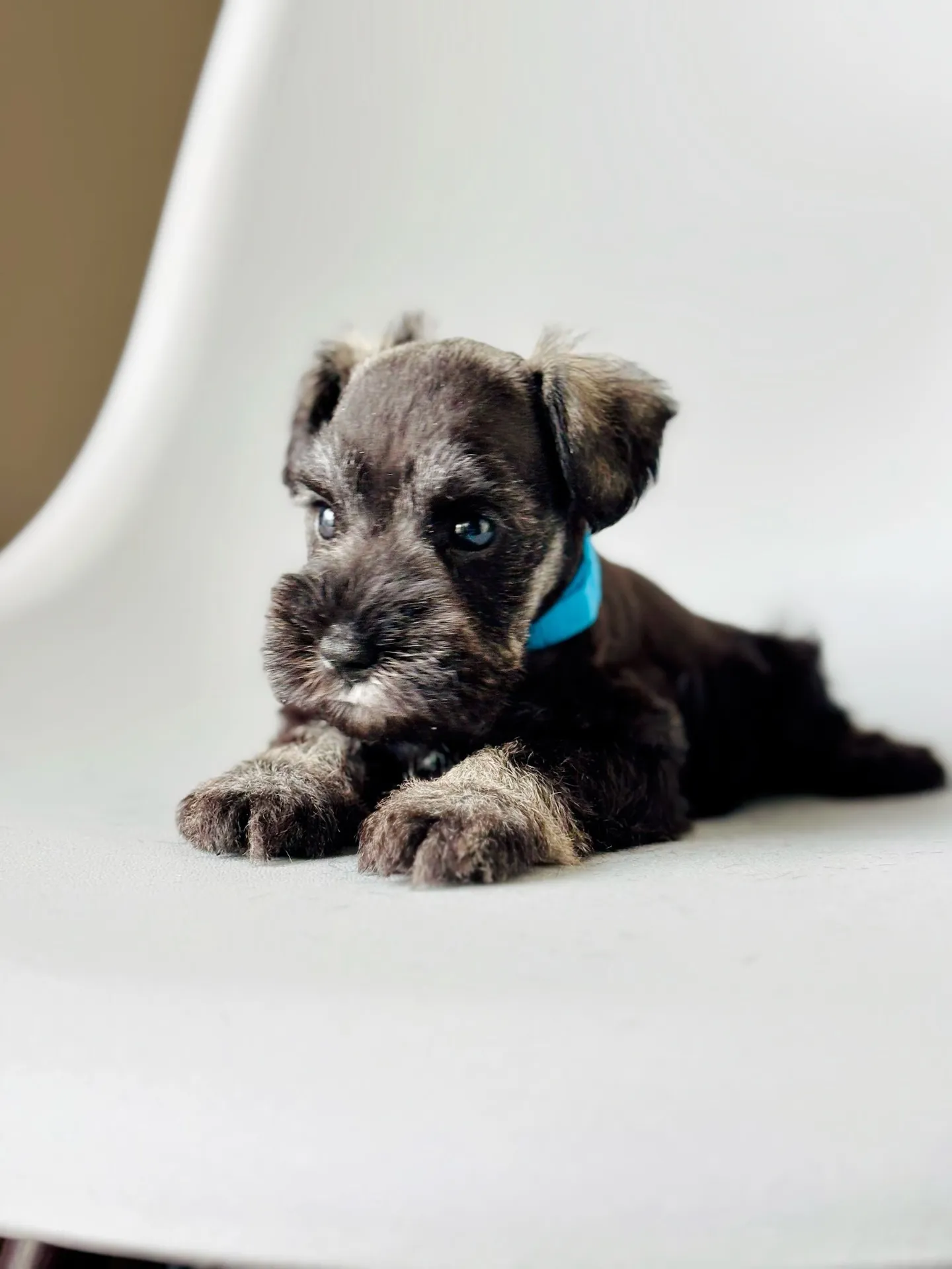 2025/04/21 生まれ　男の子