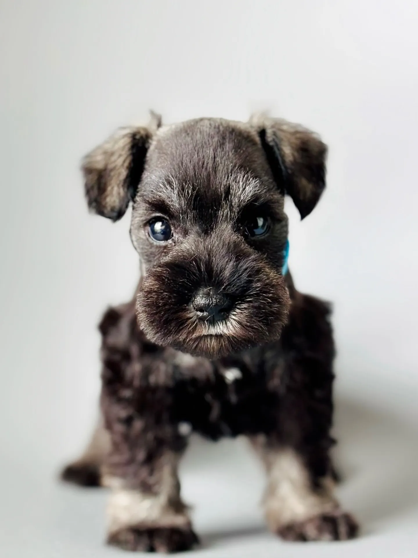 2025/04/21 生まれ　男の子