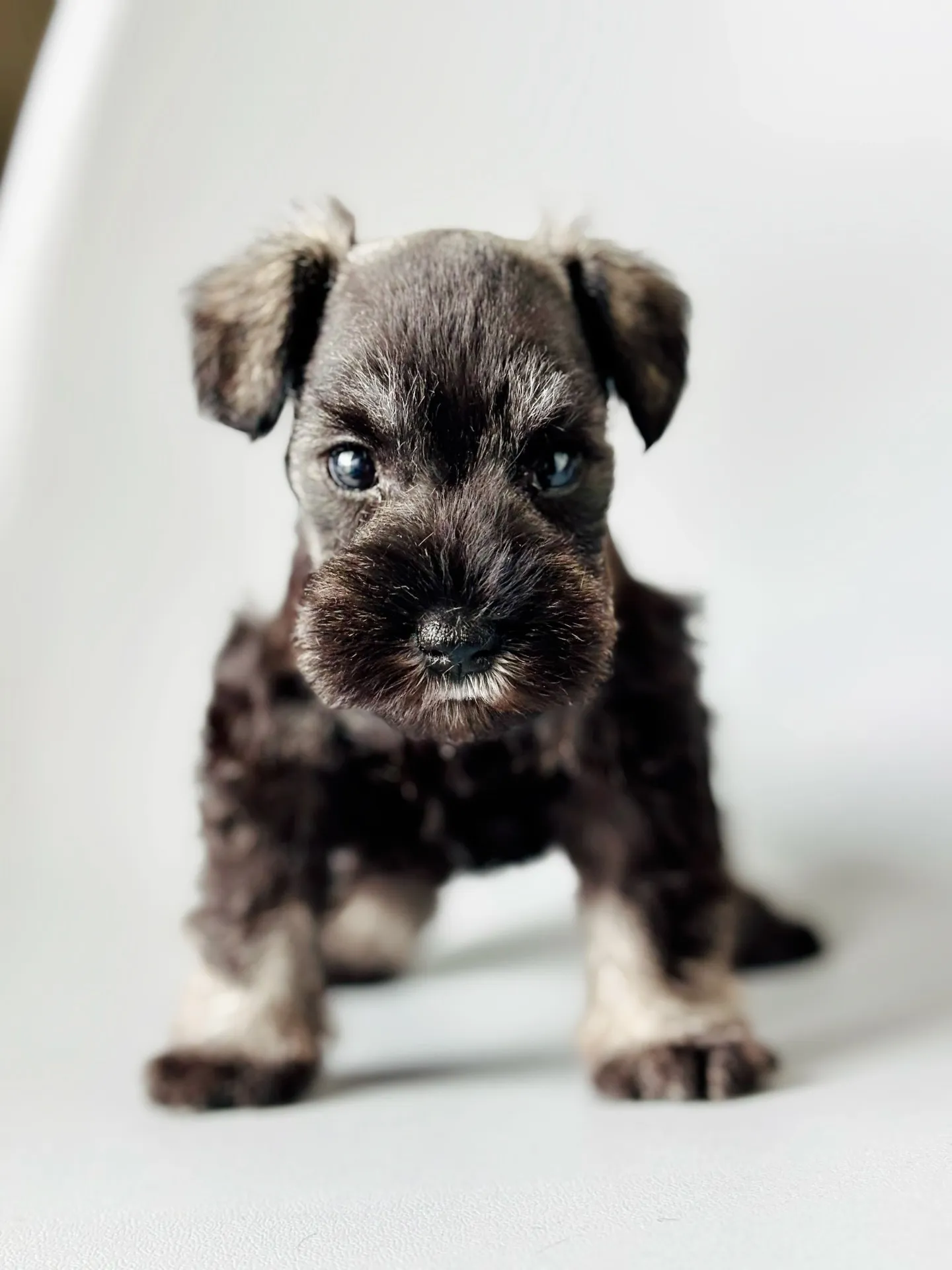 2025/04/21 生まれ　男の子