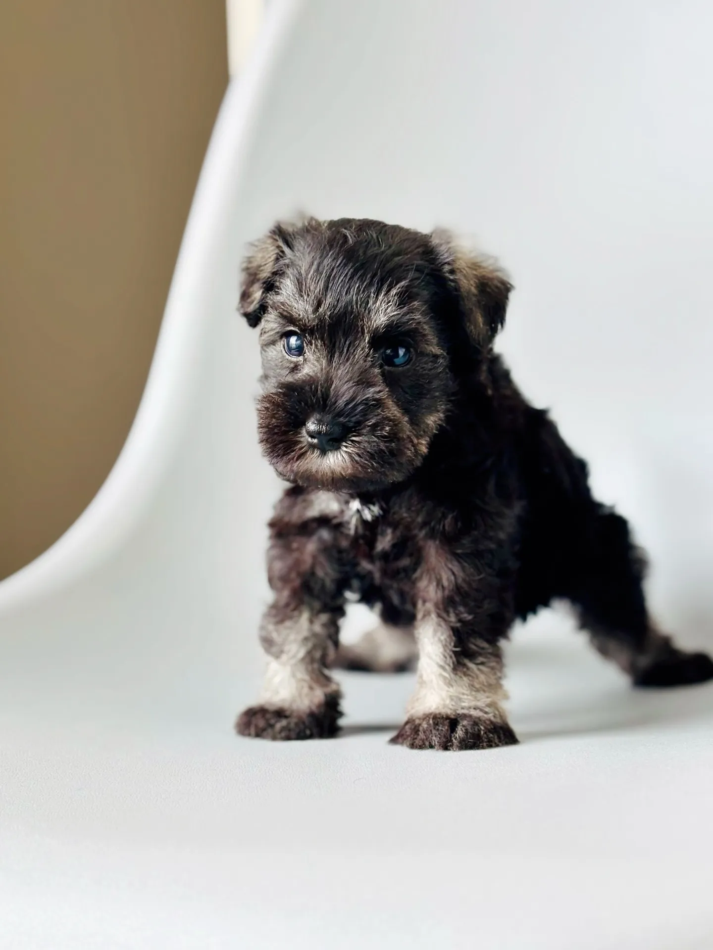 2025/04/21 生まれ　男の子