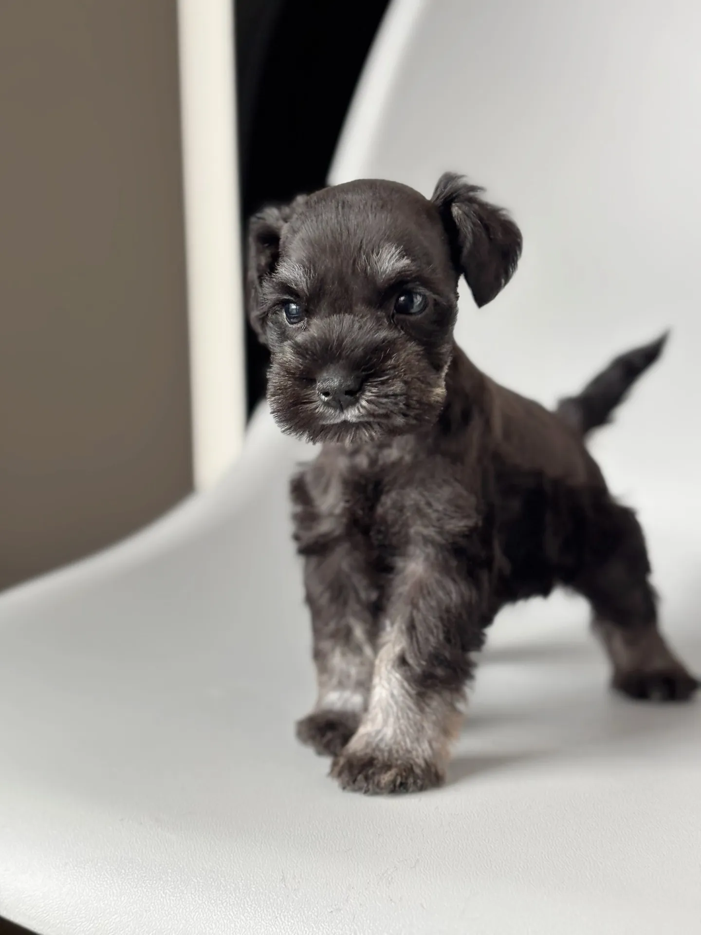 2025/04/21 生まれ　男の子