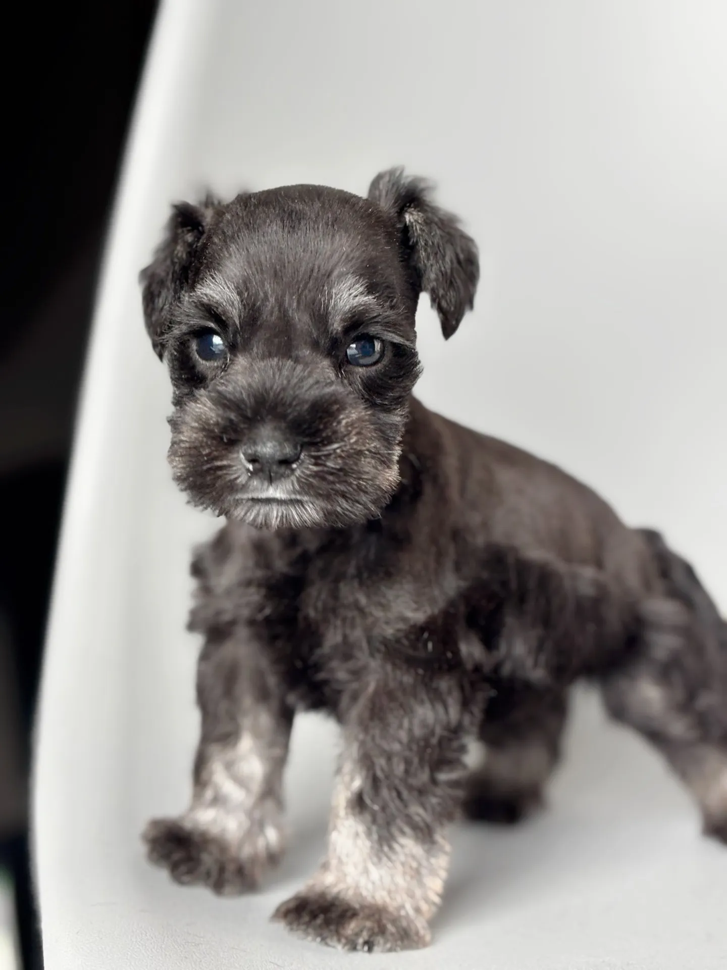 2025/04/21 生まれ　男の子