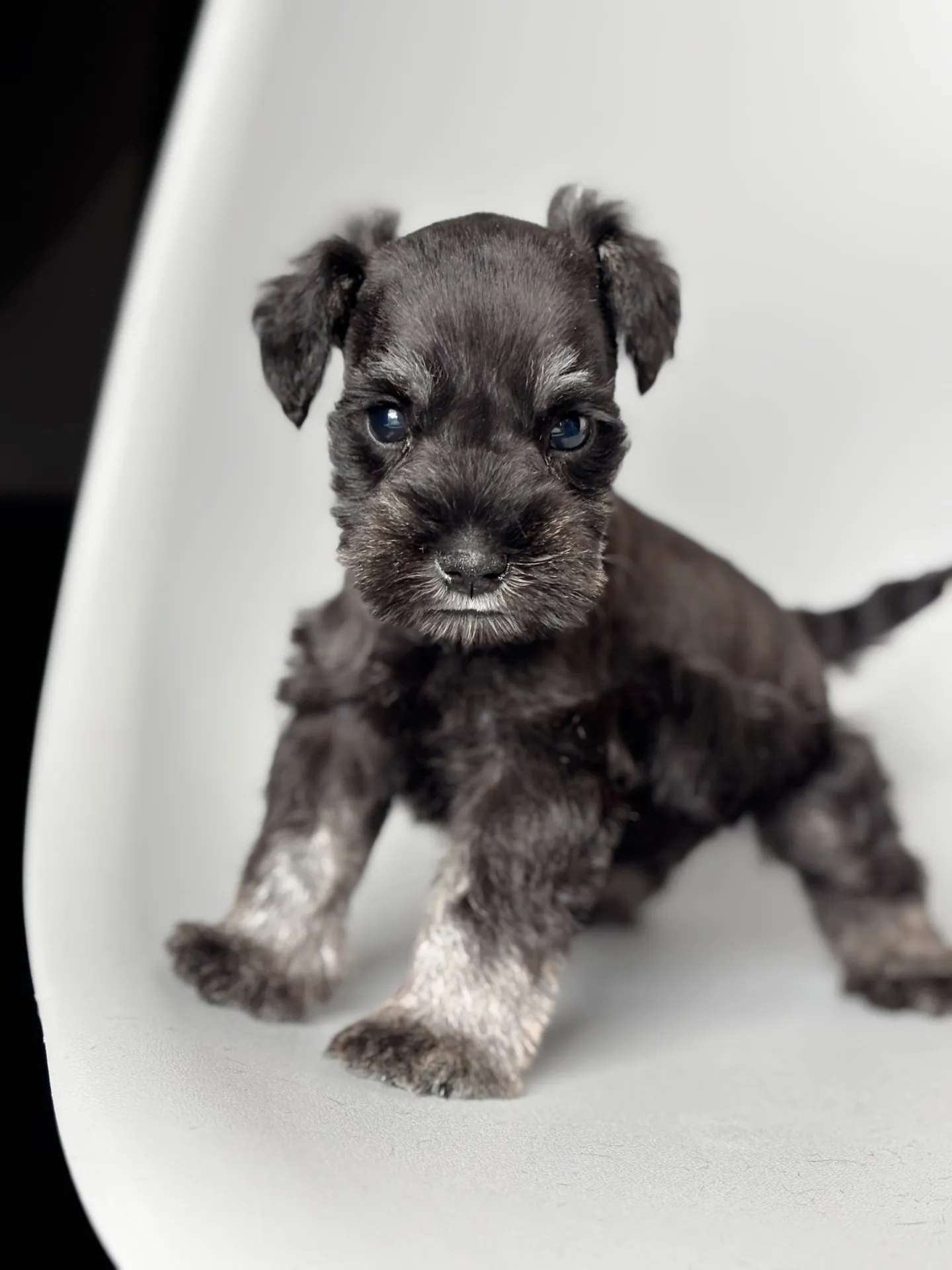 2025/04/21 生まれ　男の子