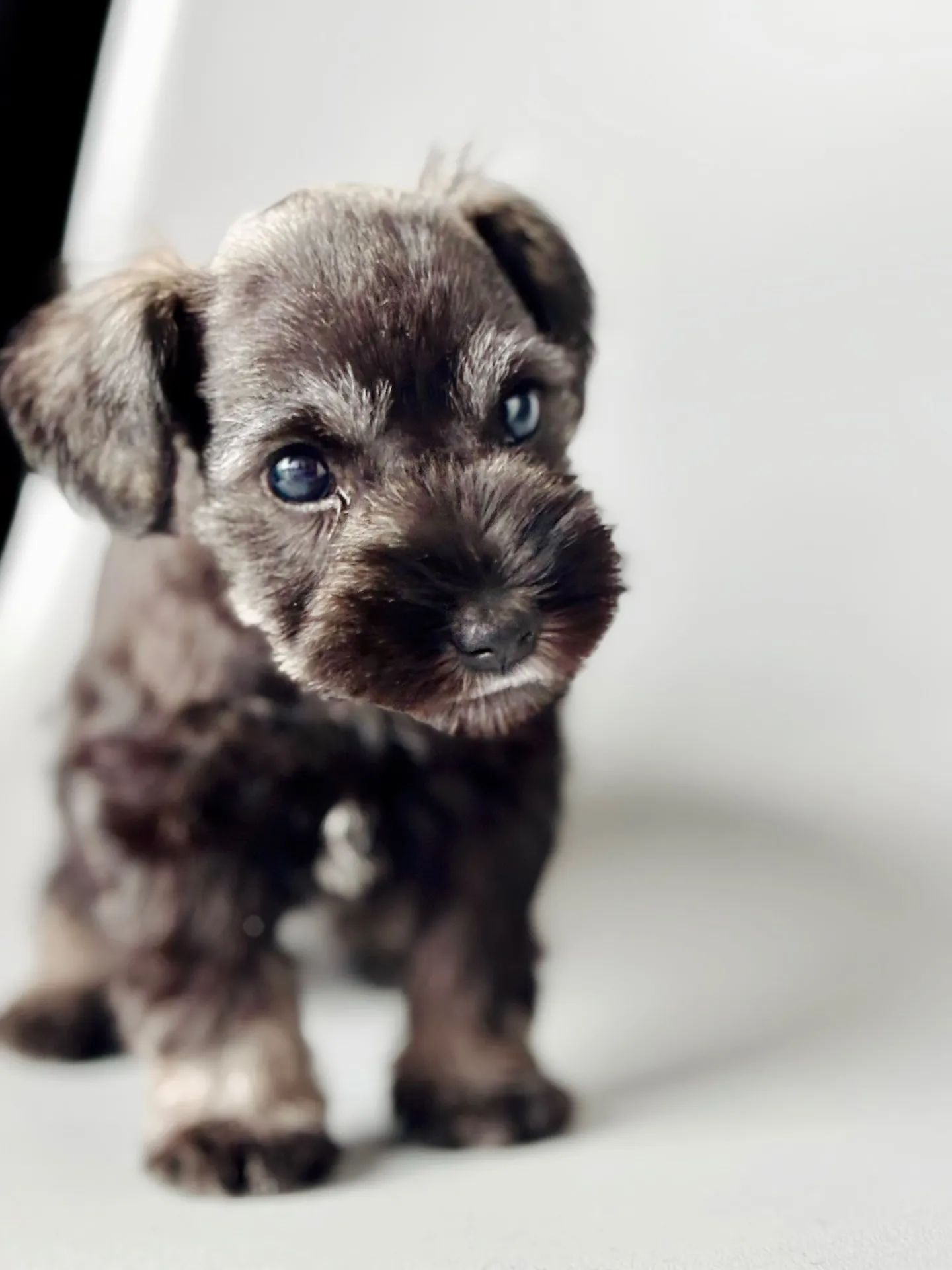 2025/04/21 生まれ　男の子