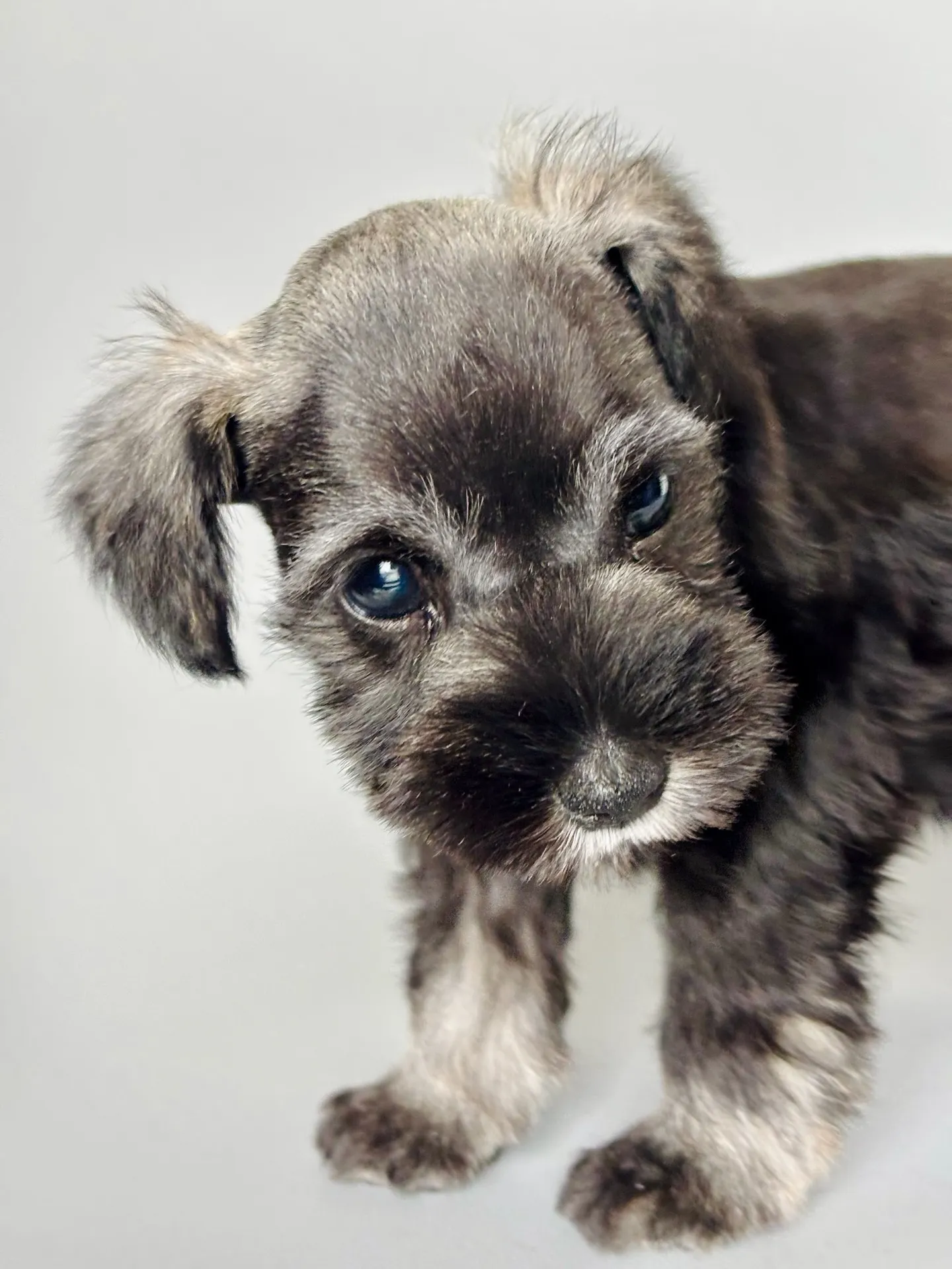 2025/04/21 生まれ　男の子