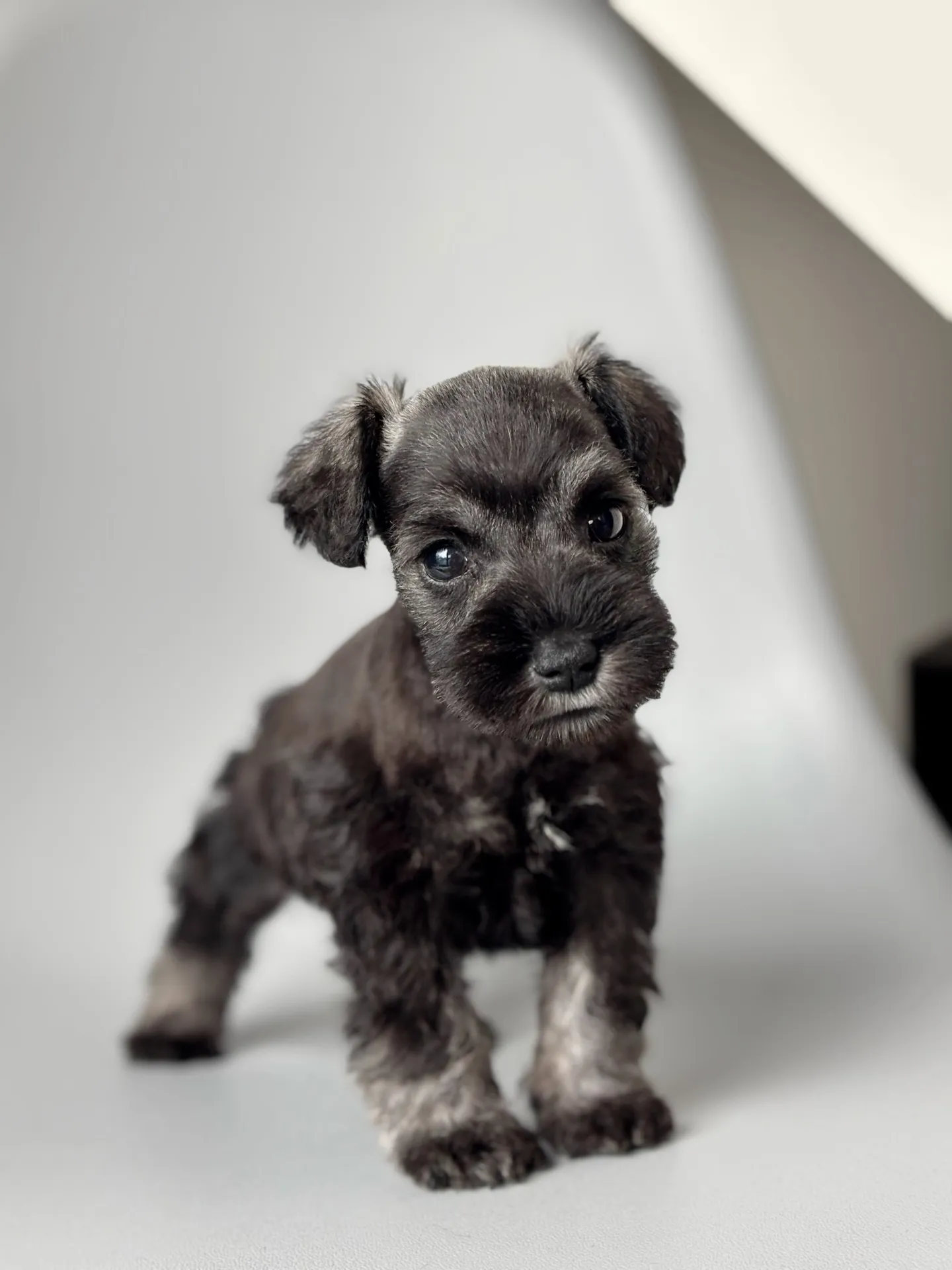 2025/04/21 生まれ　男の子