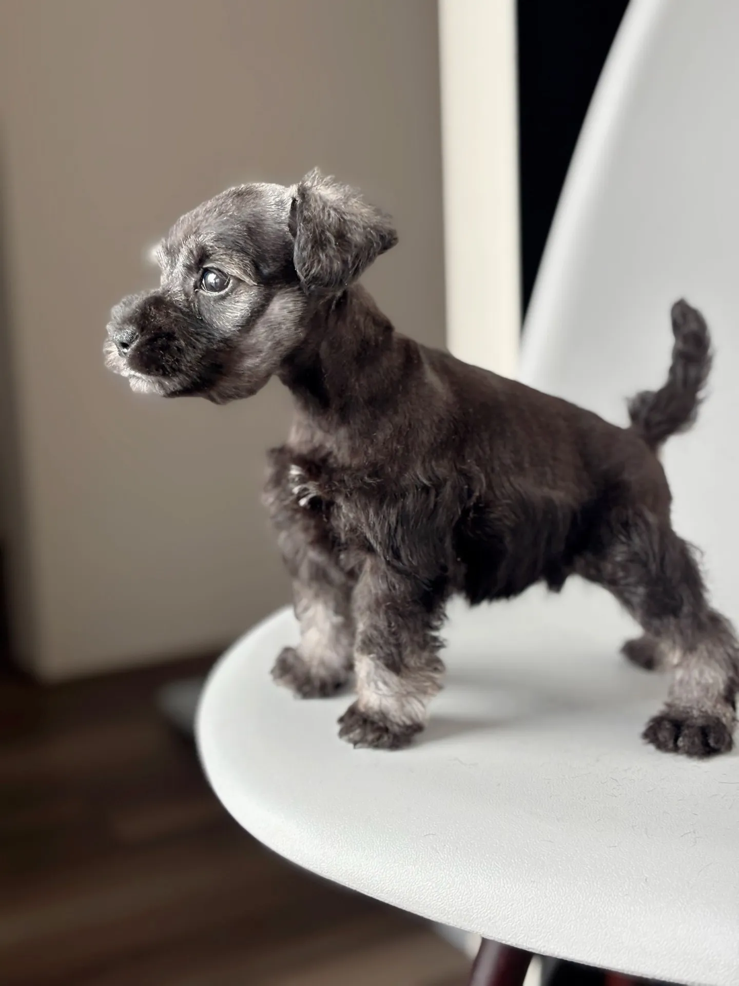 2025/04/21 生まれ　男の子