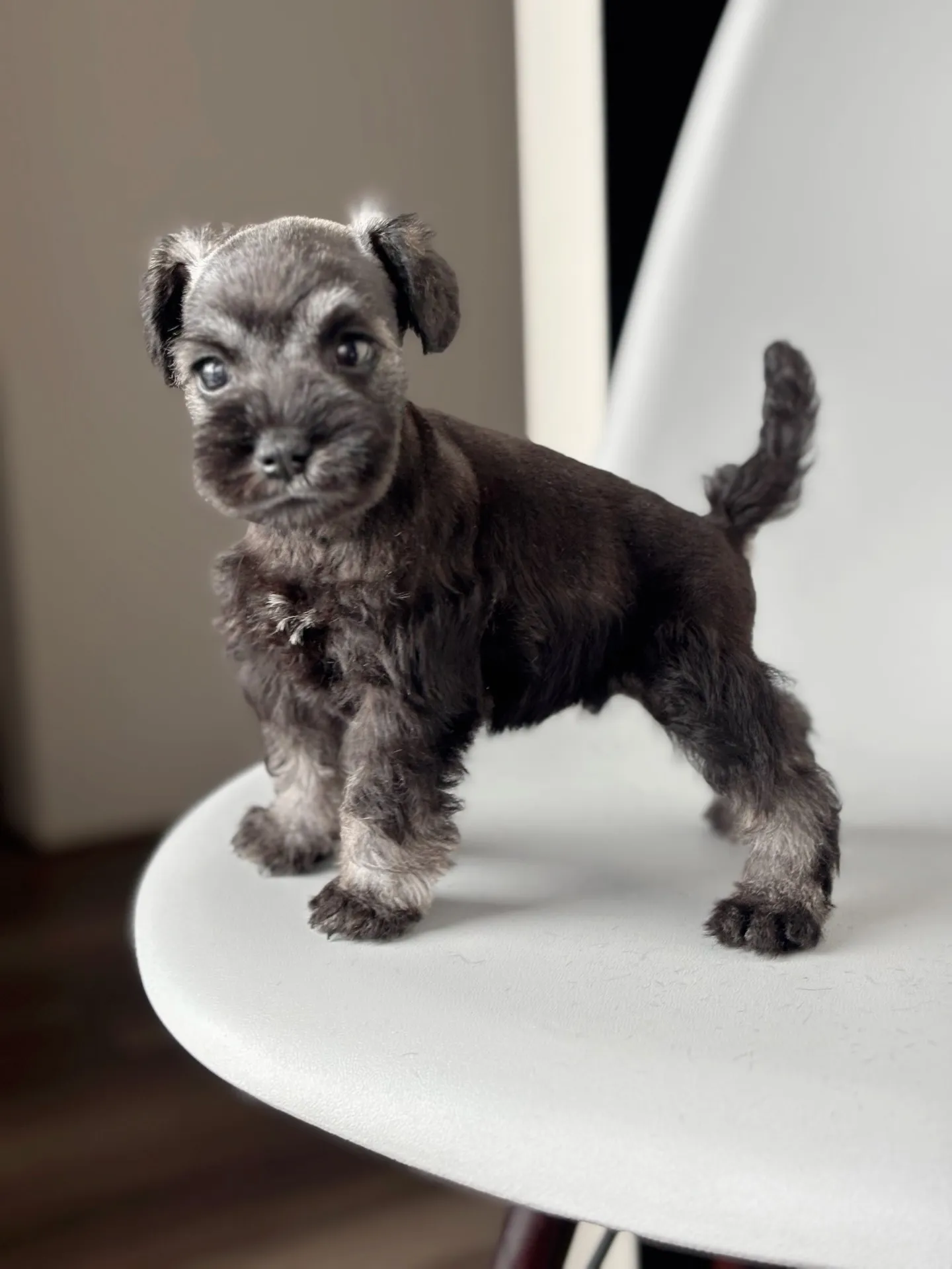 2025/04/21 生まれ　男の子