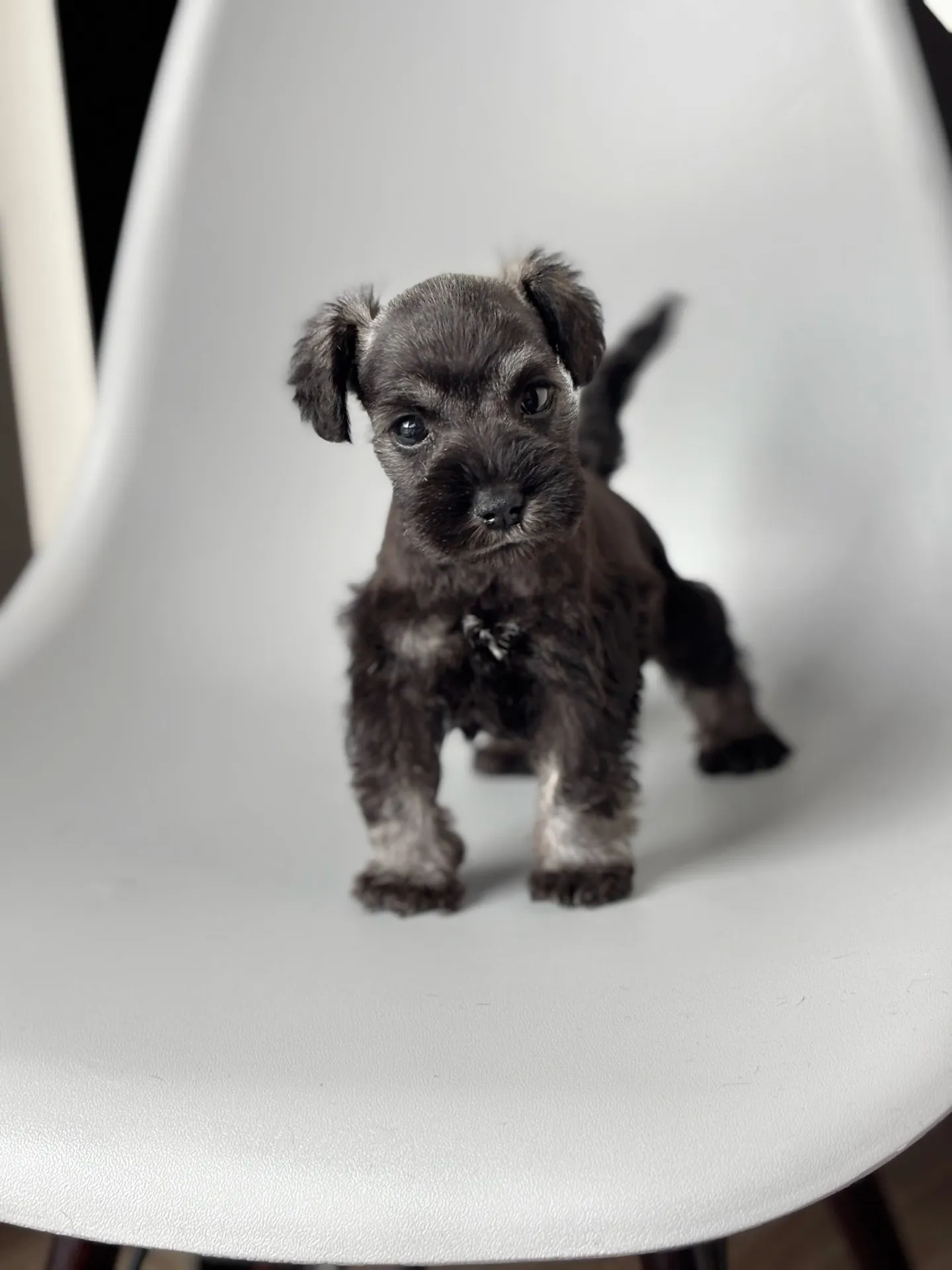 2025/04/21 生まれ　男の子