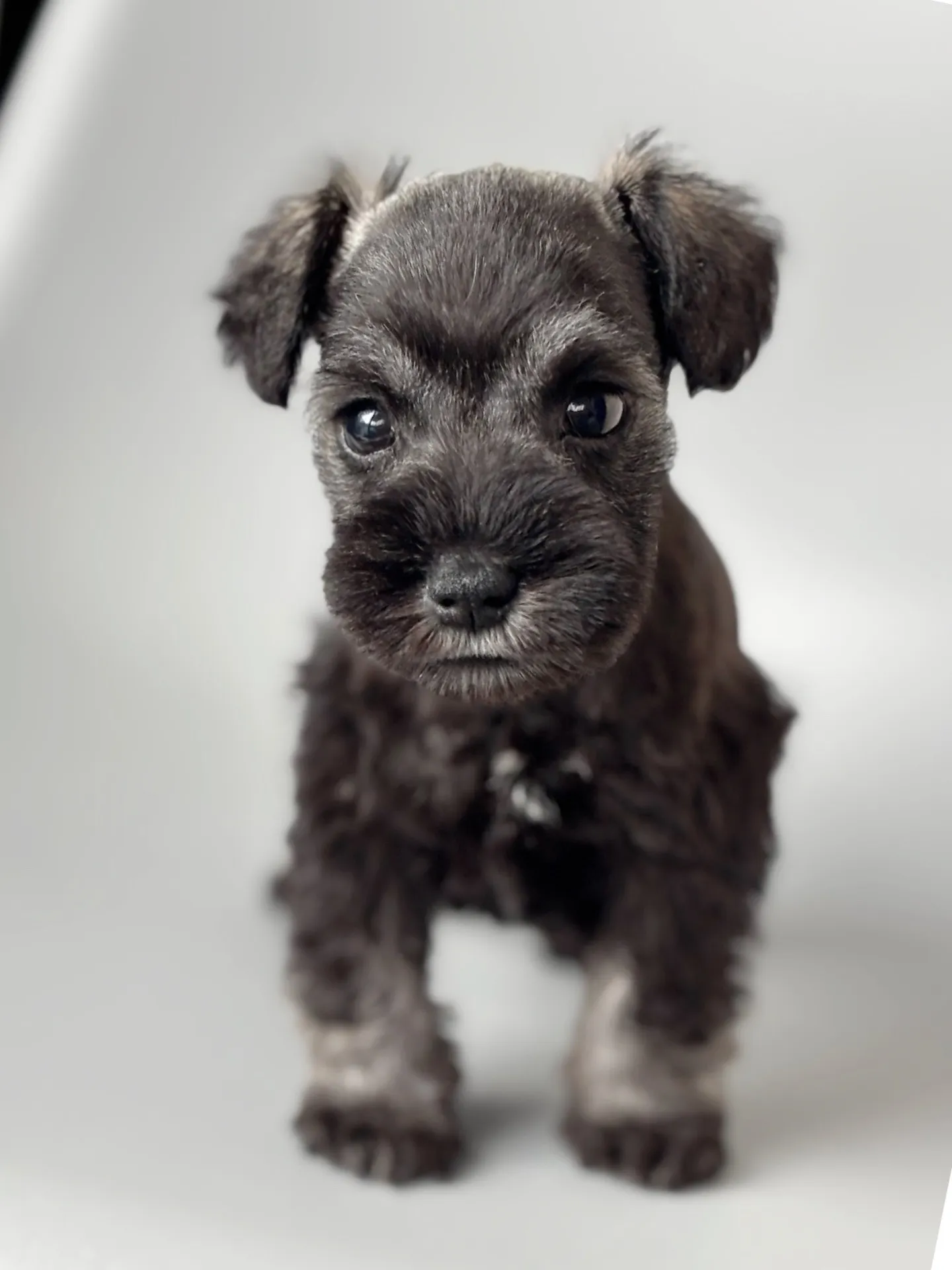 2025/04/21 生まれ　男の子