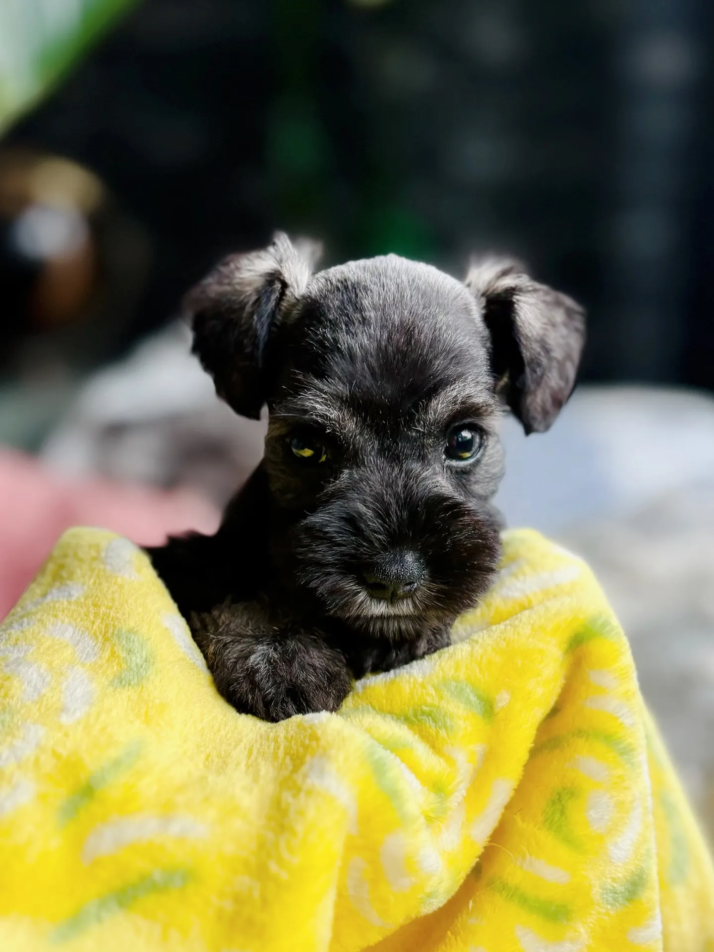 2025/04/21 生まれ　男の子