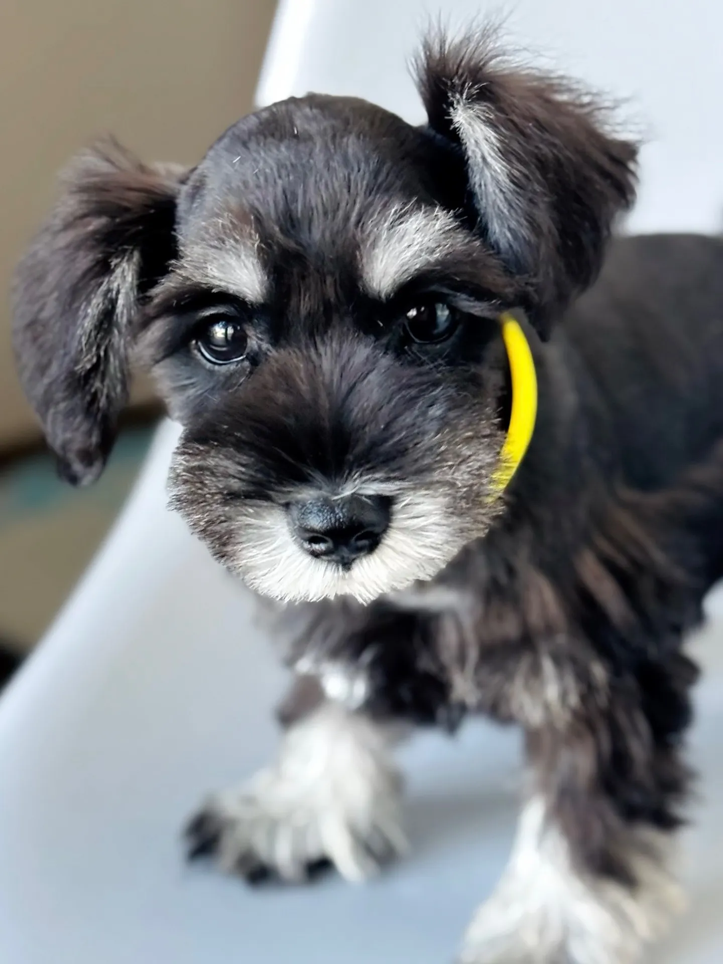 2025/05/05 生まれ　男の子