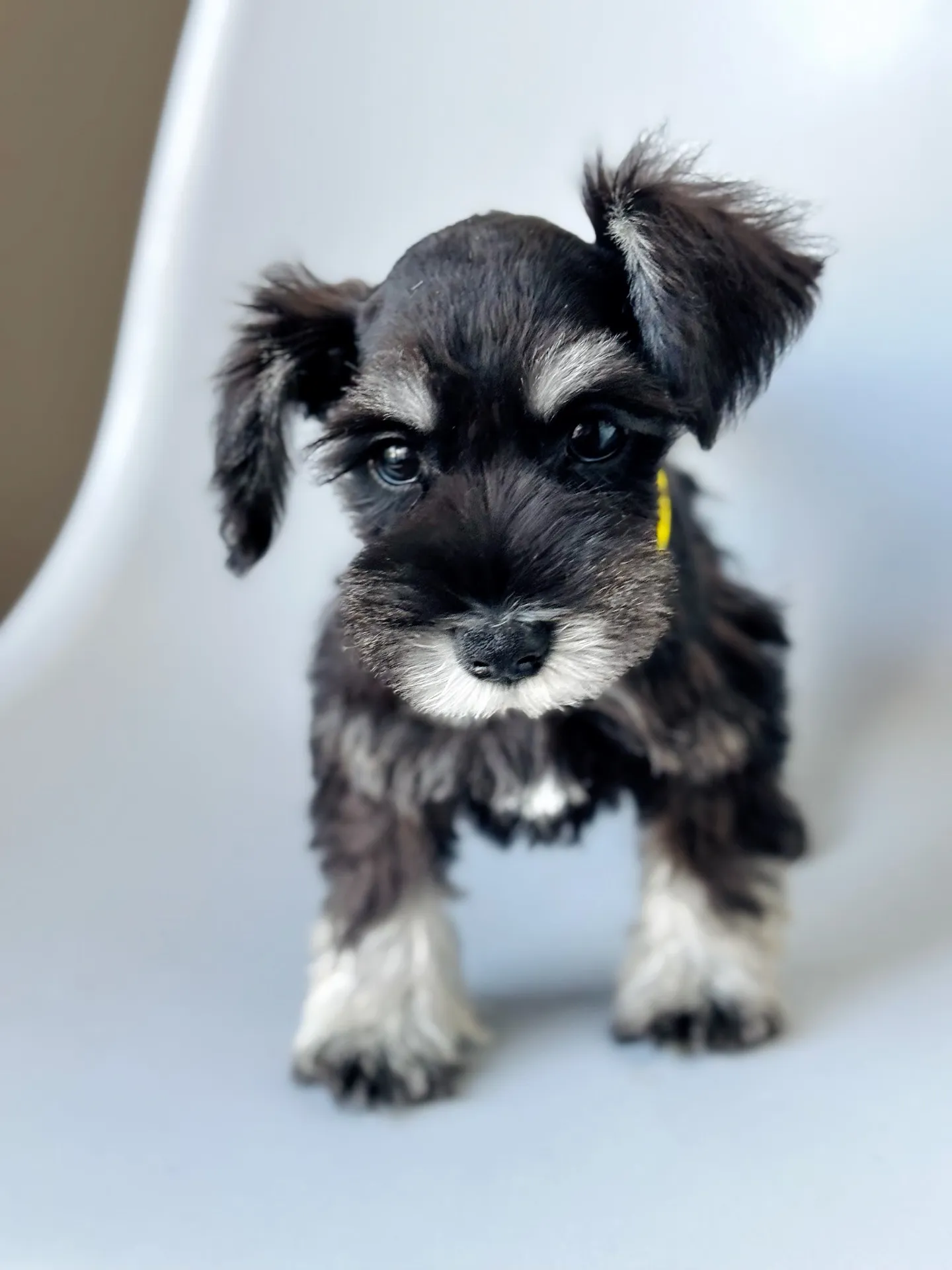 2025/05/05 生まれ　男の子