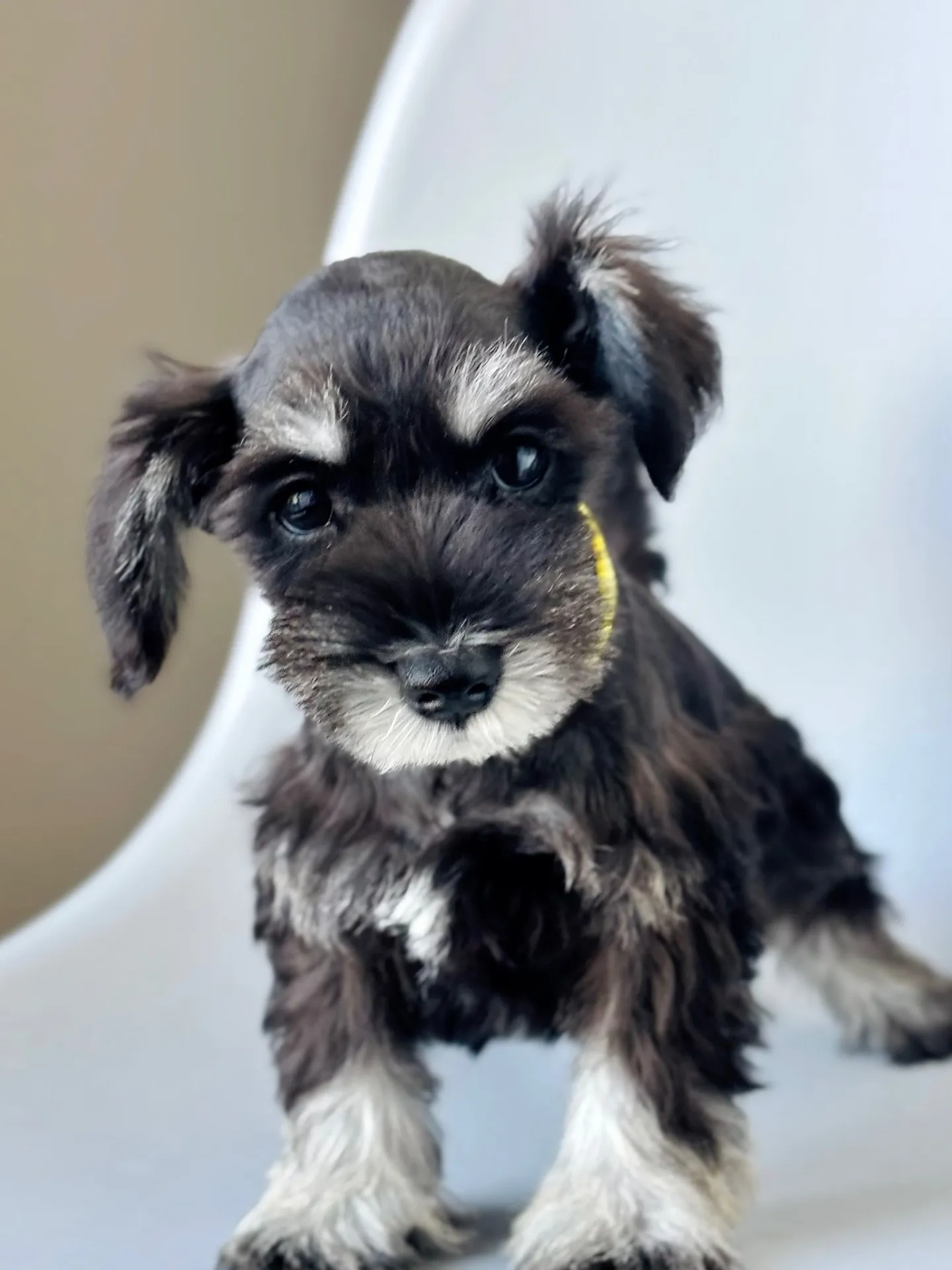 2025/05/05 生まれ　男の子