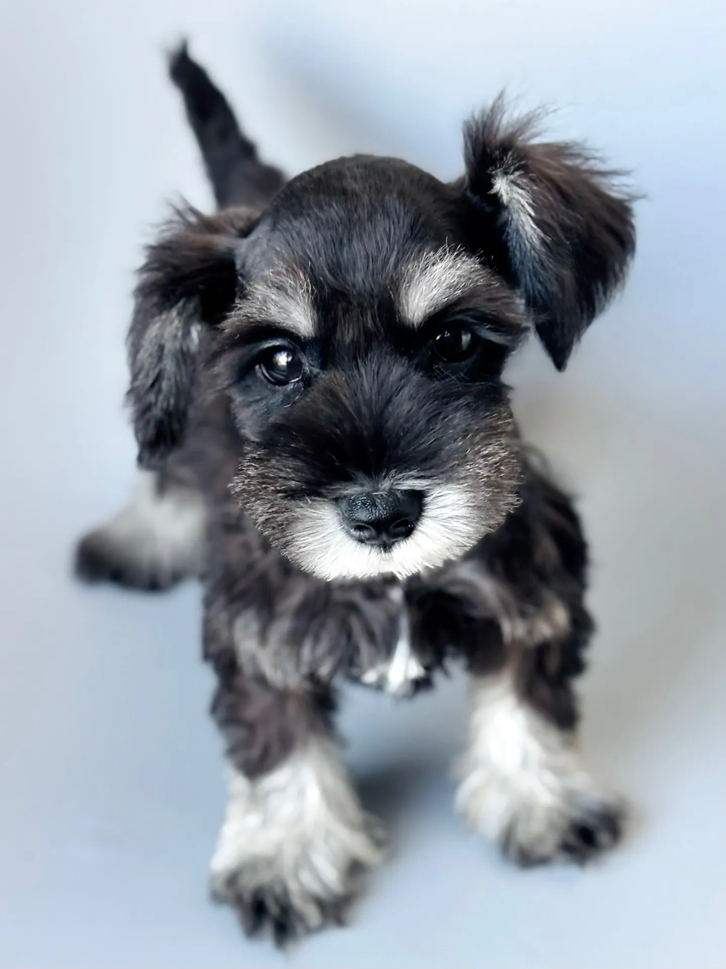 2025/05/05 生まれ　男の子