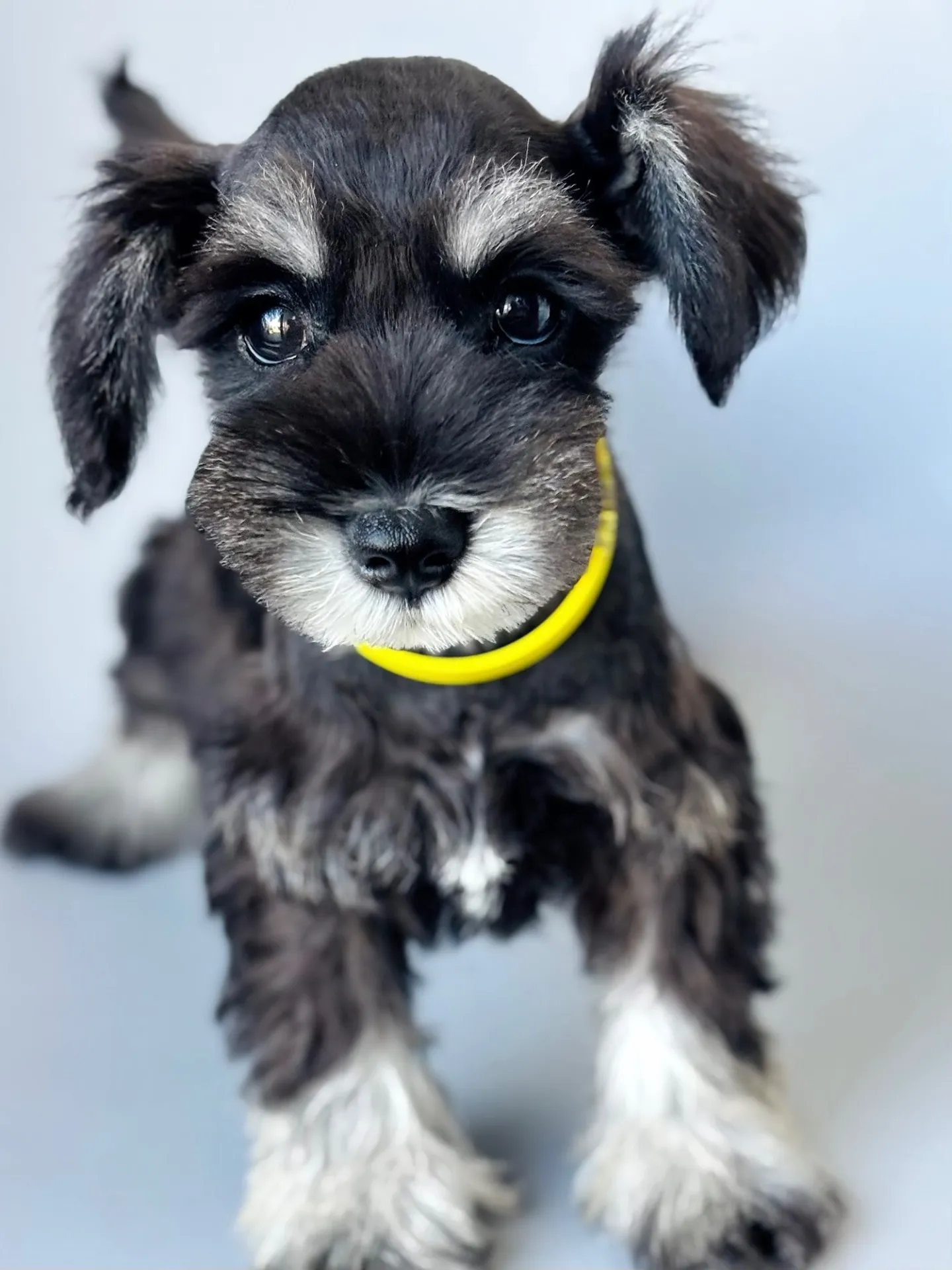 2025/05/05 生まれ　男の子