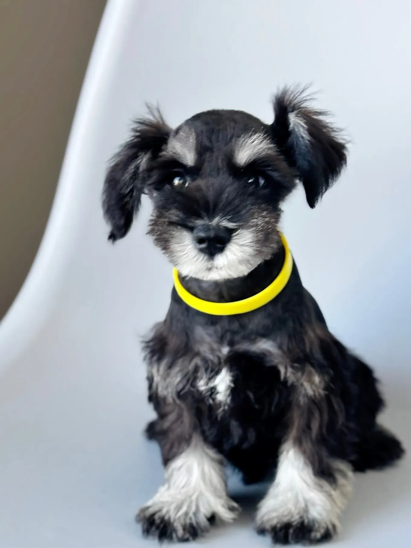 2025/05/05 生まれ　男の子