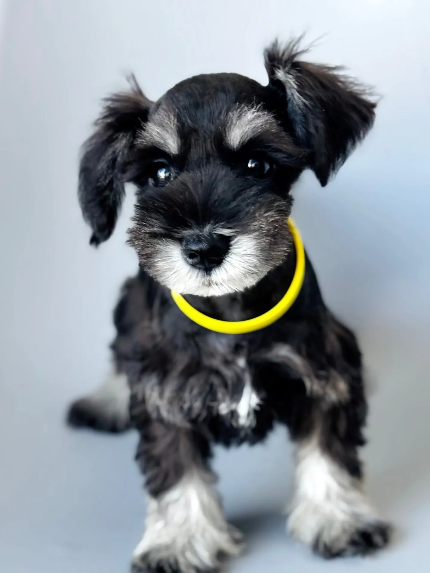 2025/05/05 生まれ　男の子