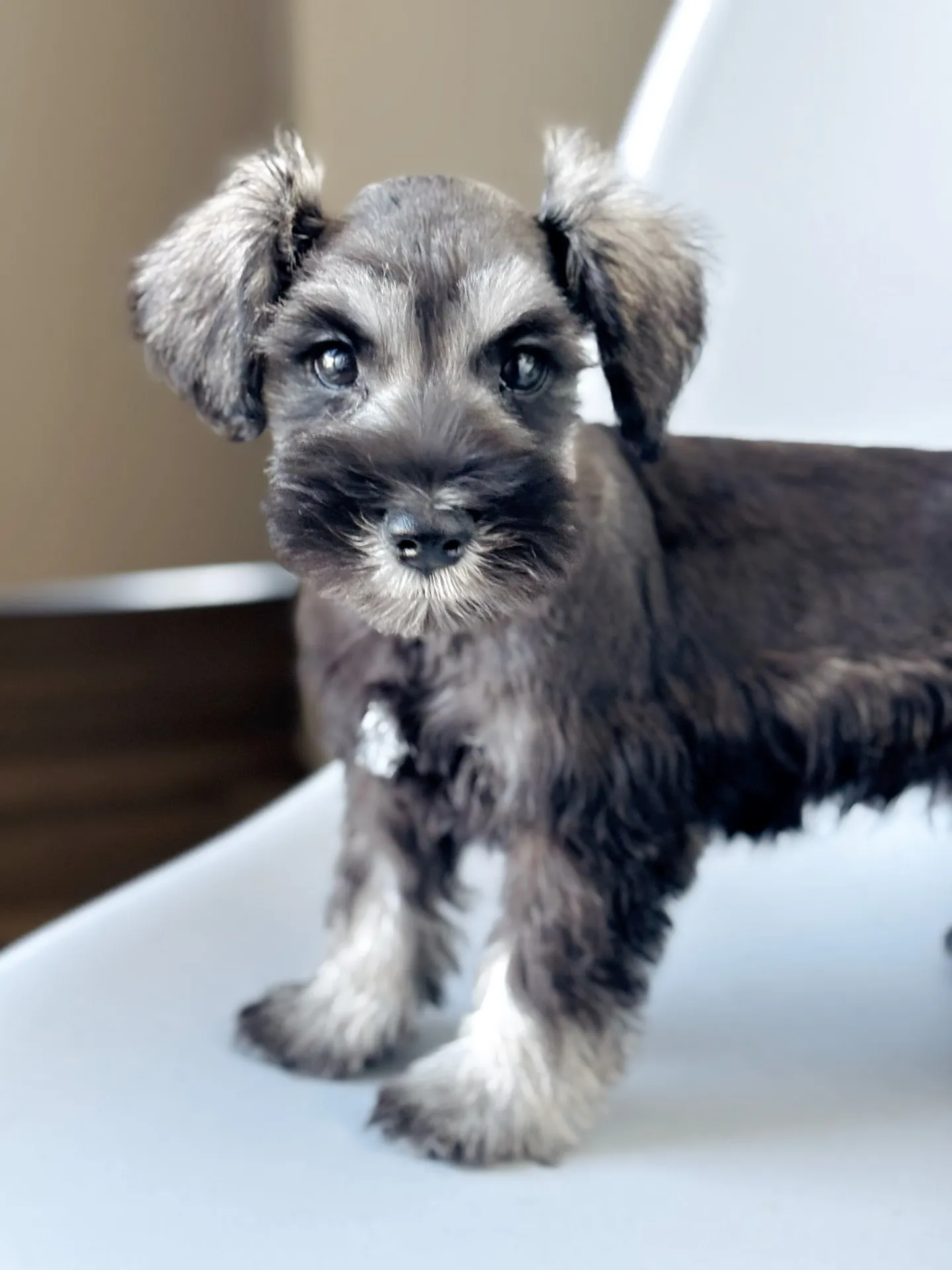 2025/05/05 生まれ　男の子