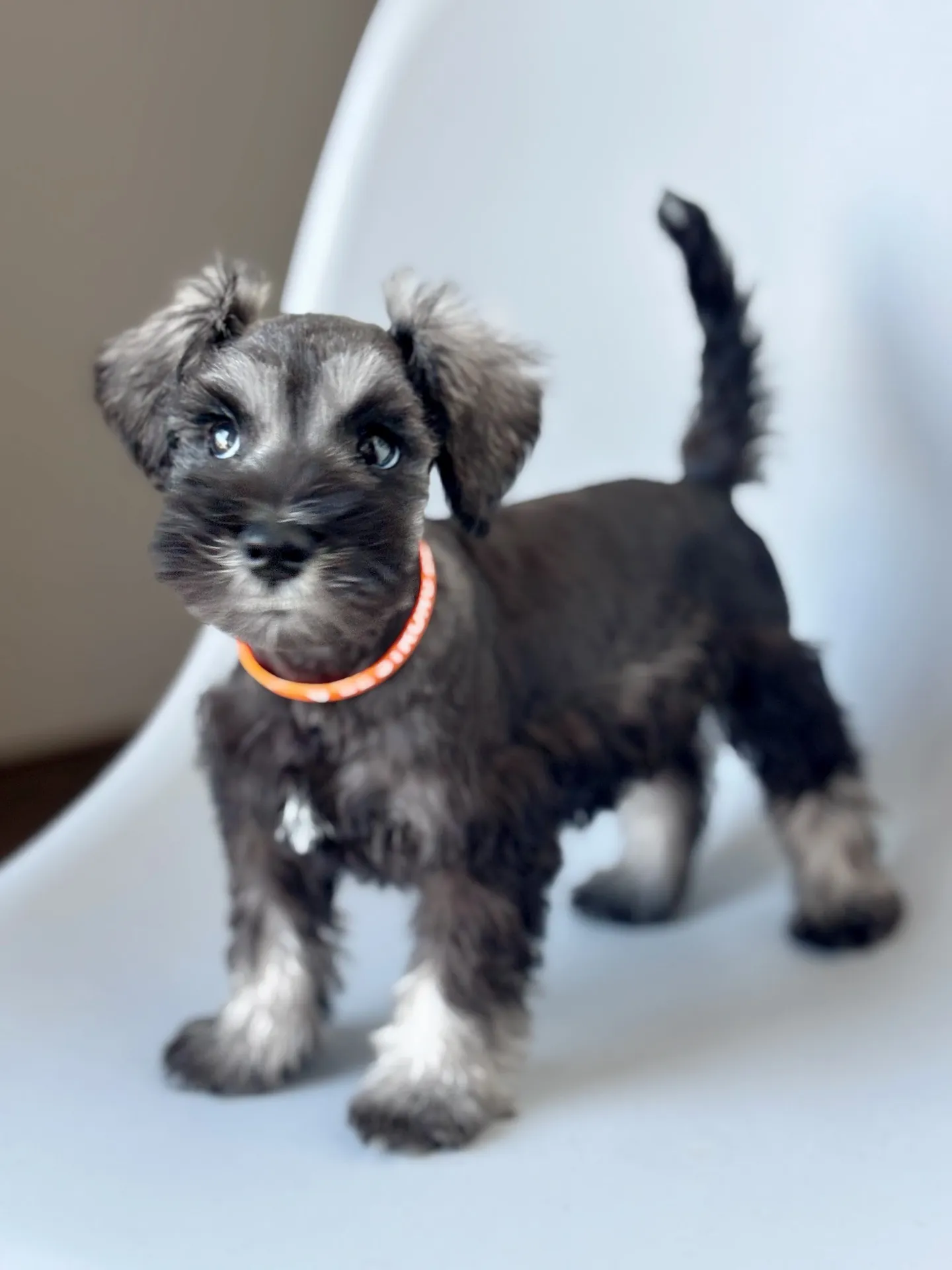 2025/05/05 生まれ　男の子