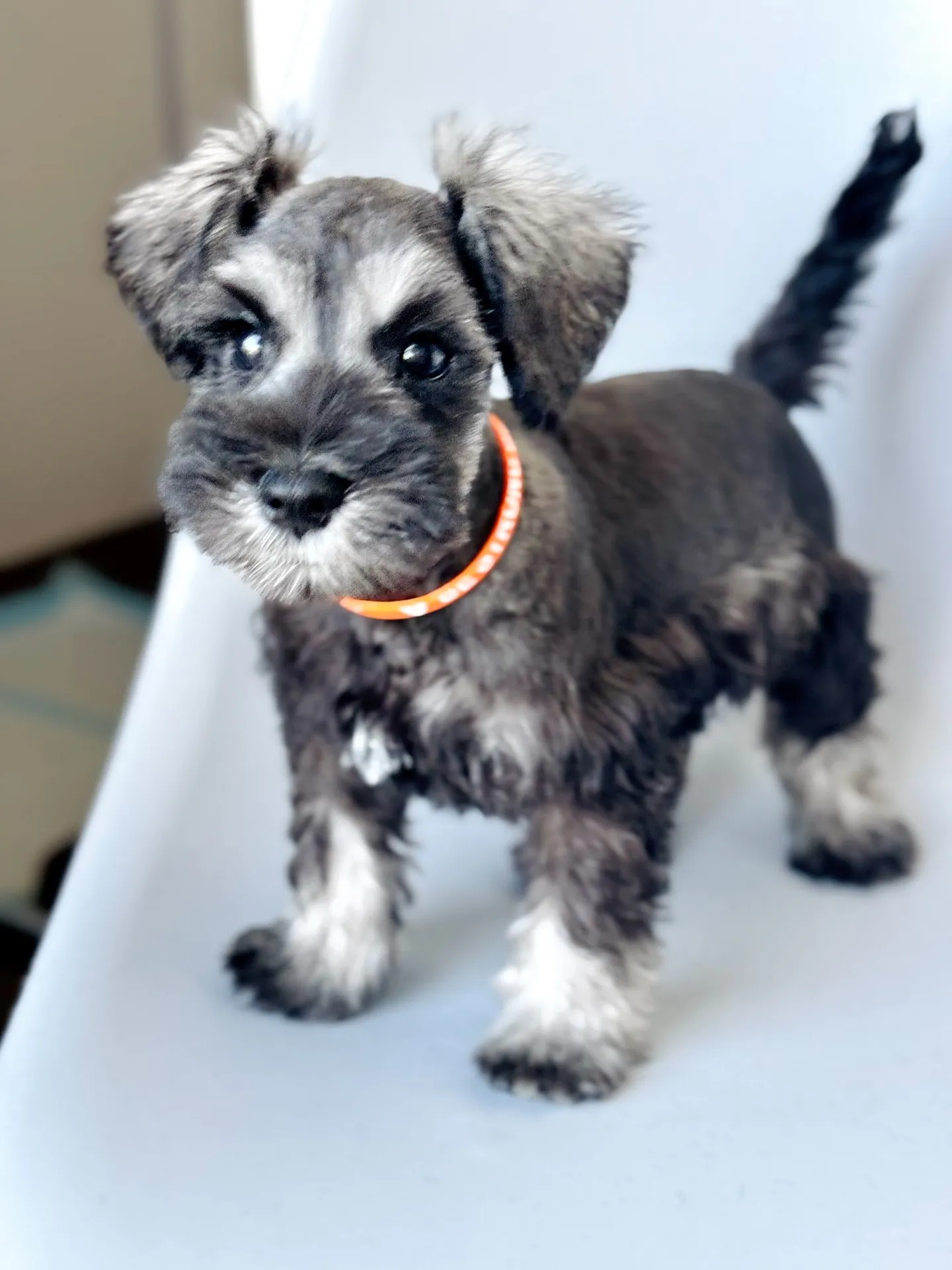 2025/05/05 生まれ　男の子