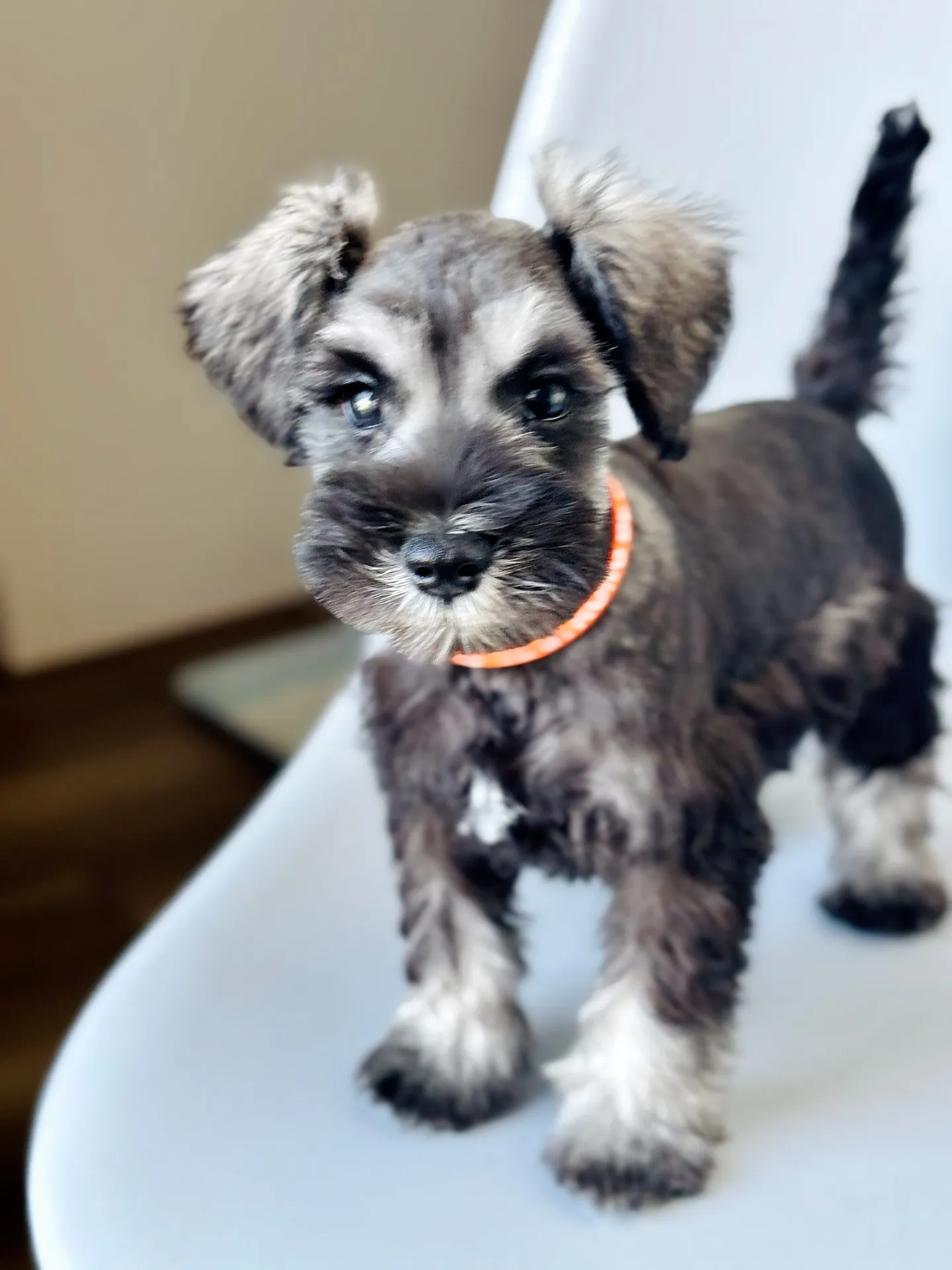 2025/05/05 生まれ　男の子