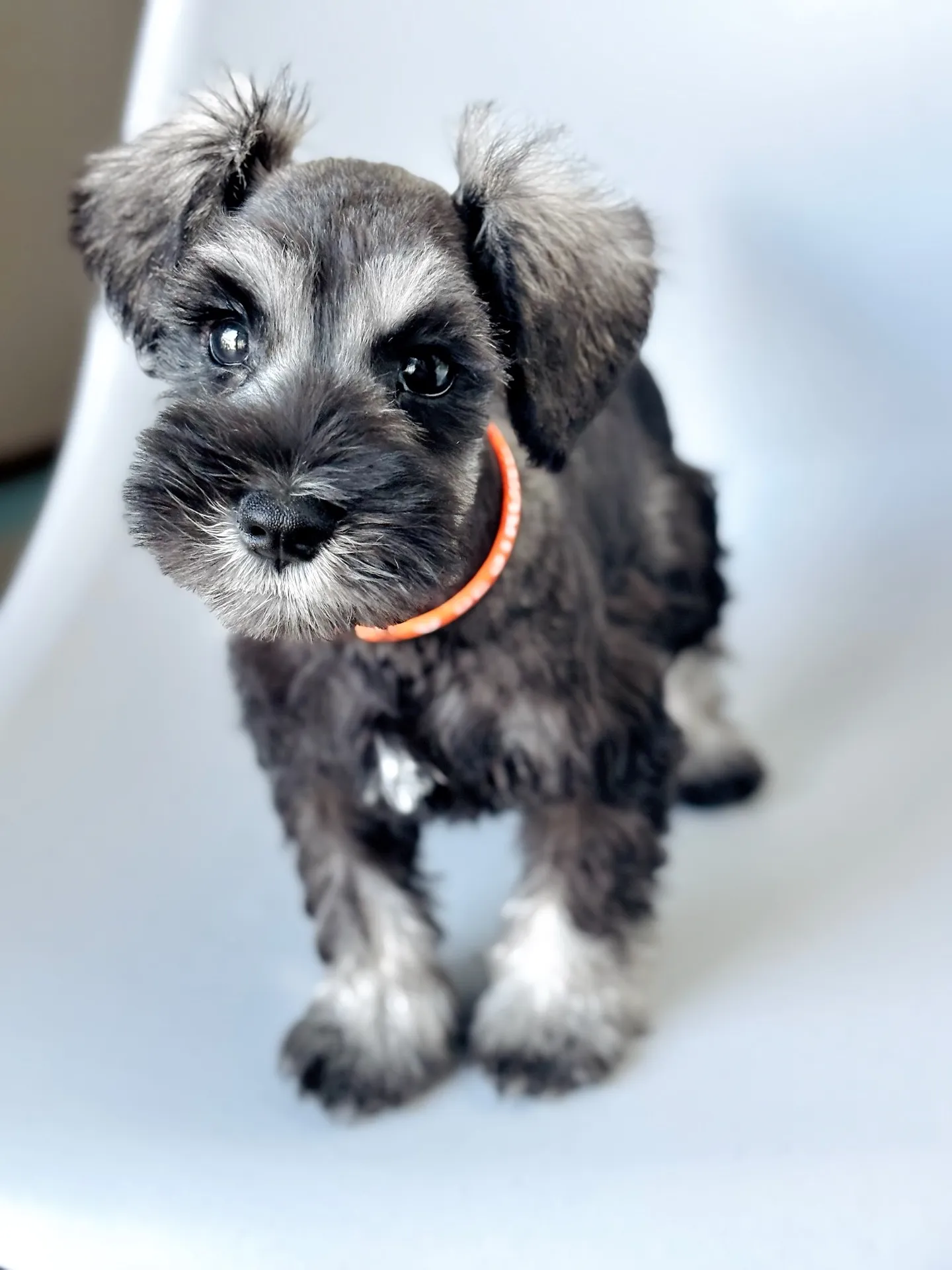 2025/05/05 生まれ　男の子