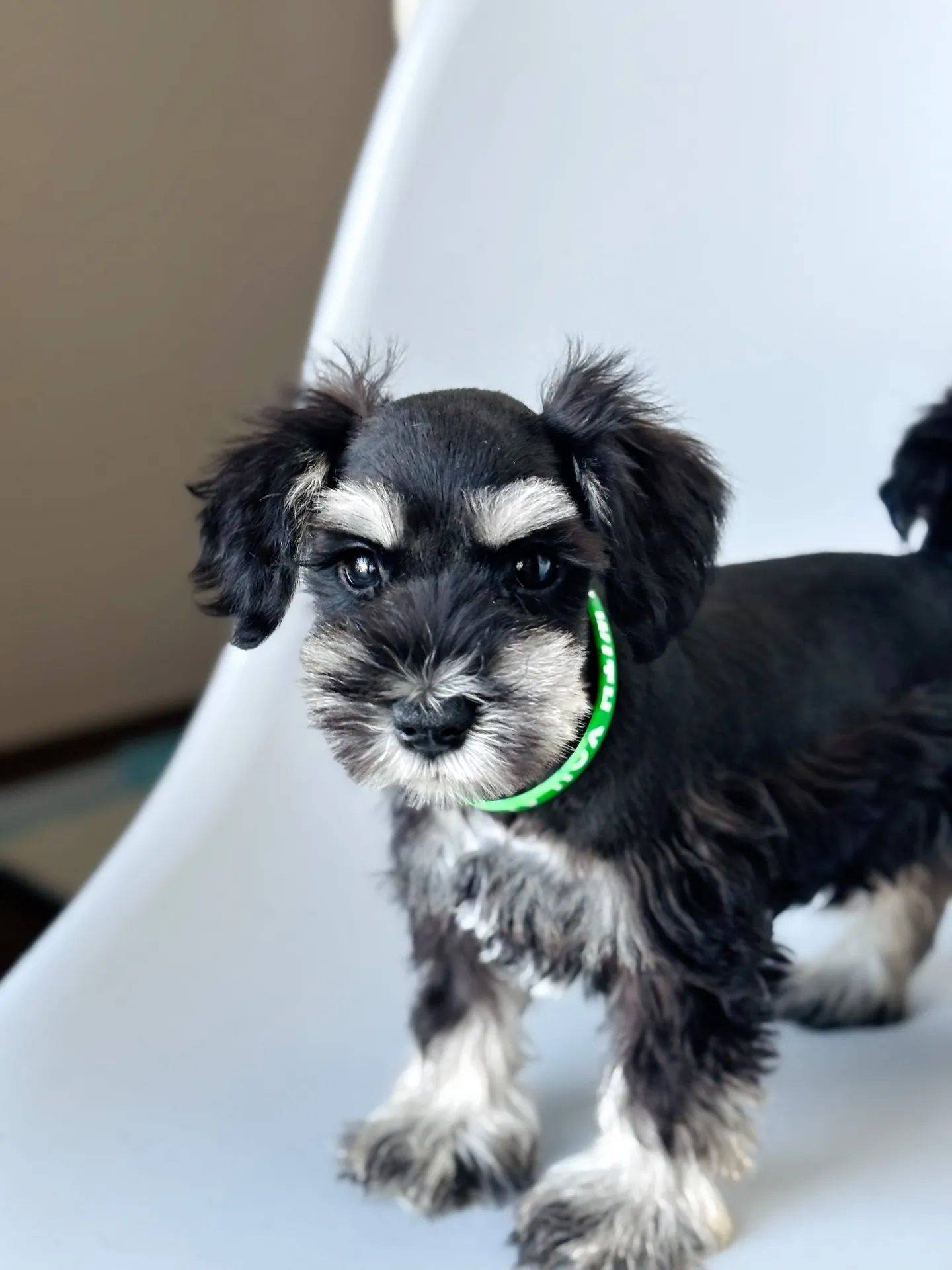 2025/05/05 生まれ　男の子