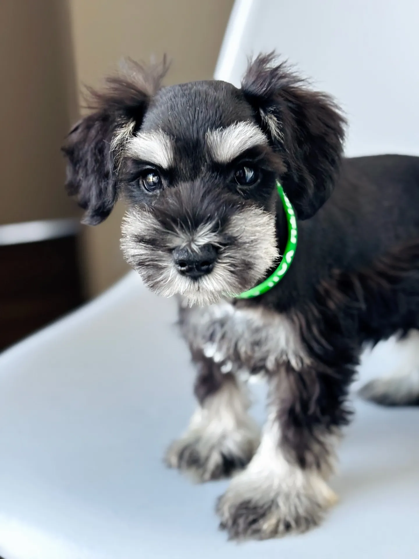 2025/05/05 生まれ　男の子