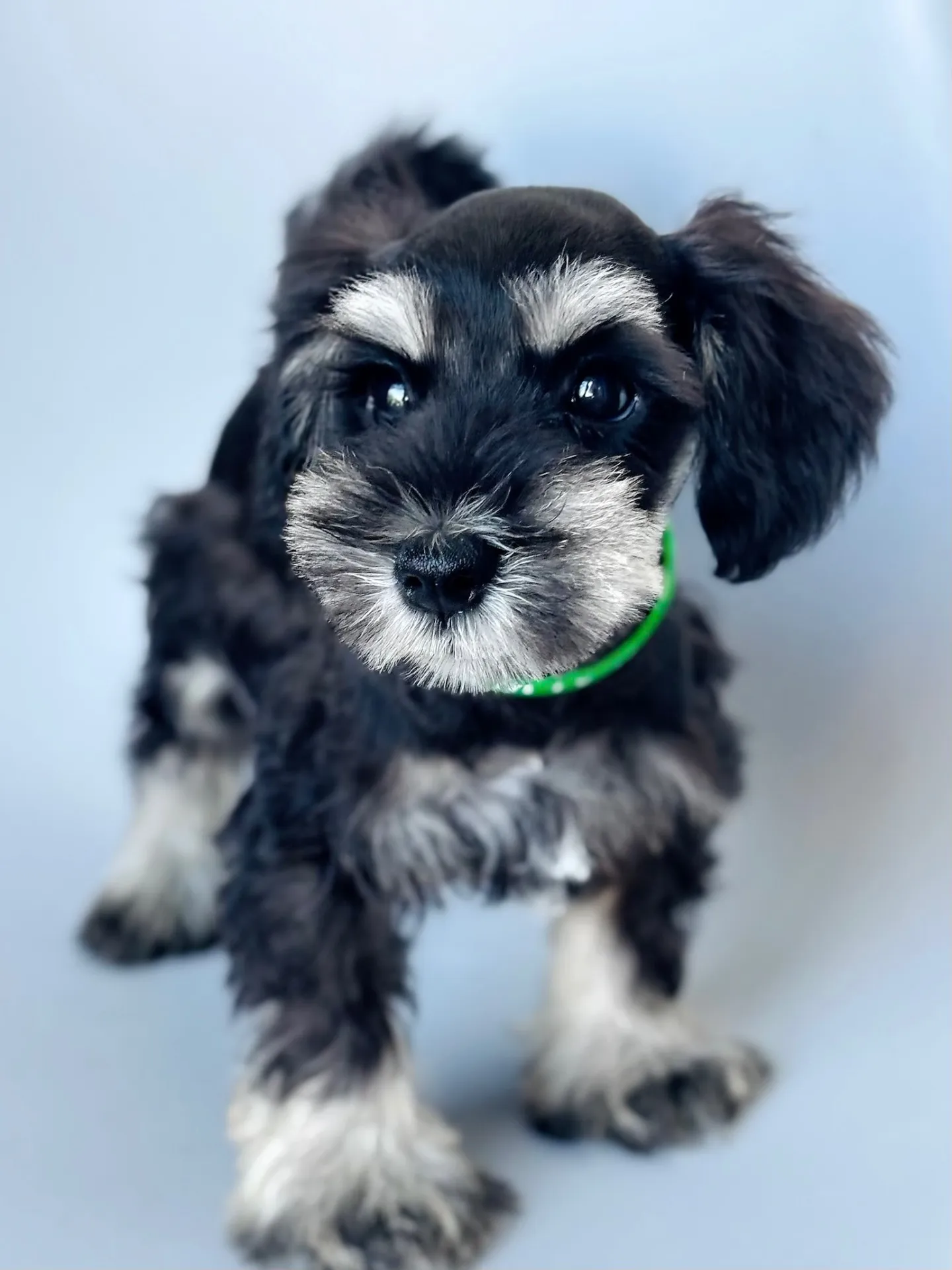 2025/05/05 生まれ　男の子