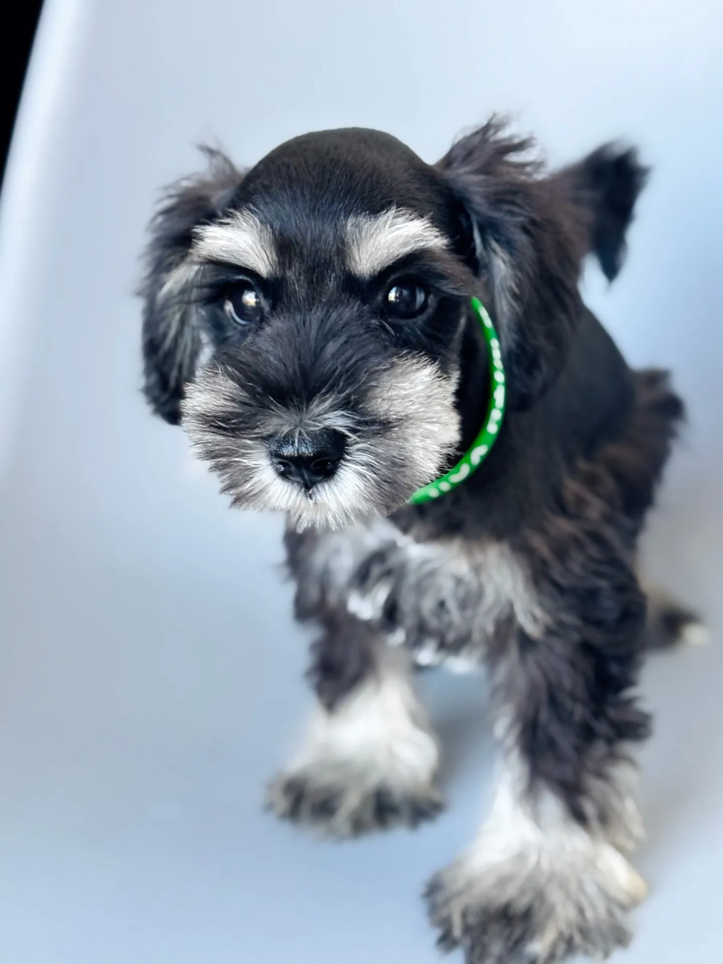 2025/05/05 生まれ　男の子