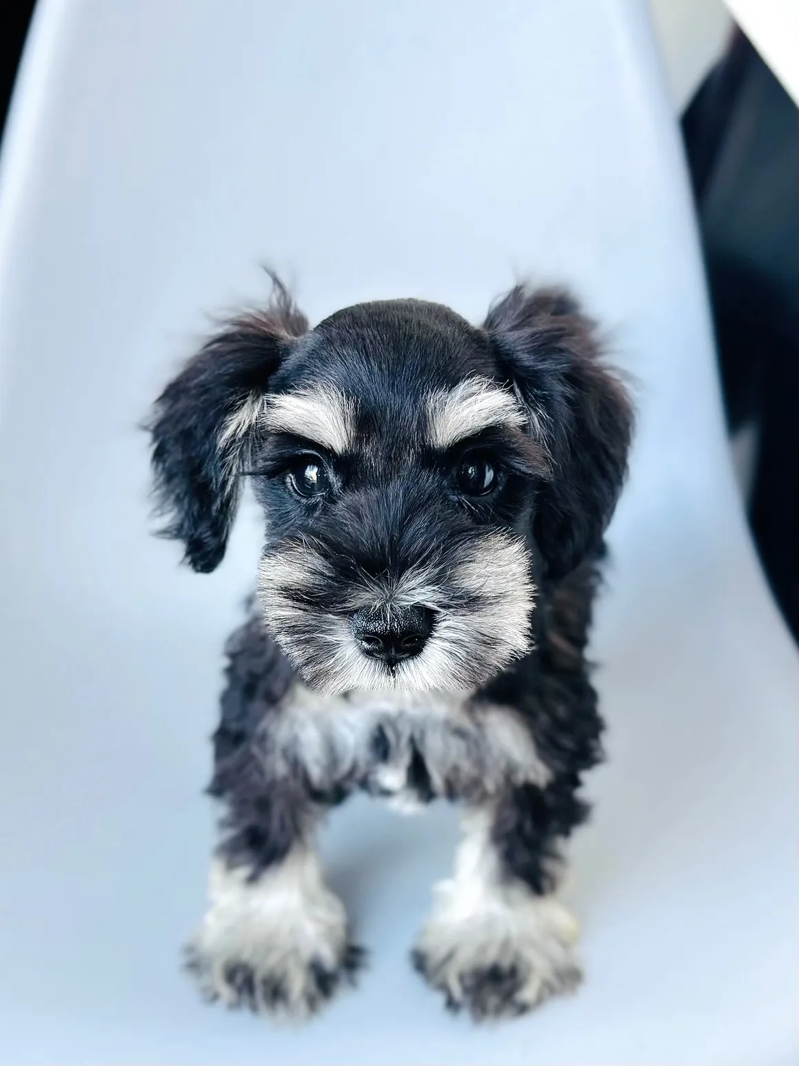 2025/05/05 生まれ　男の子