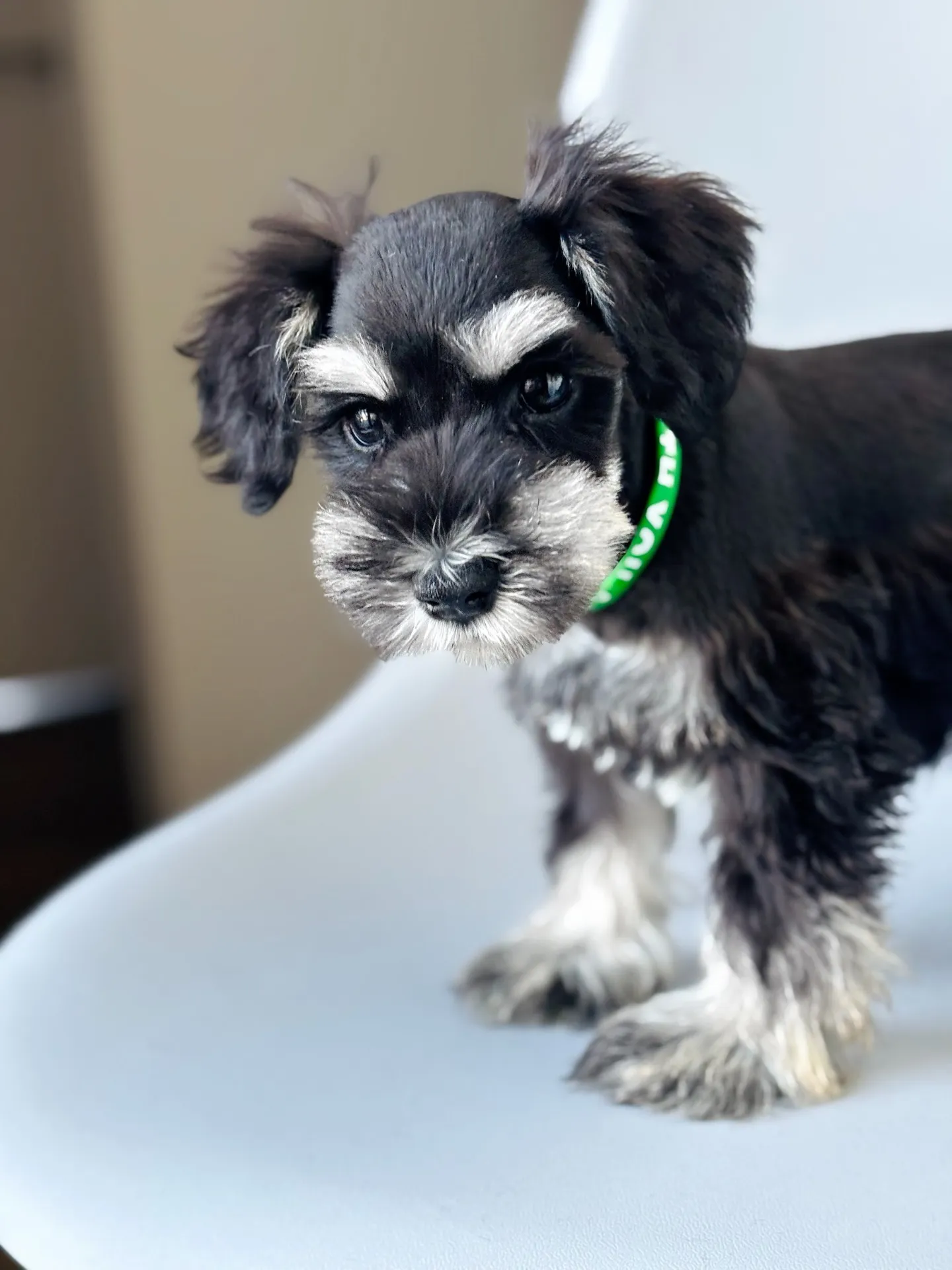 2025/05/05 生まれ　男の子