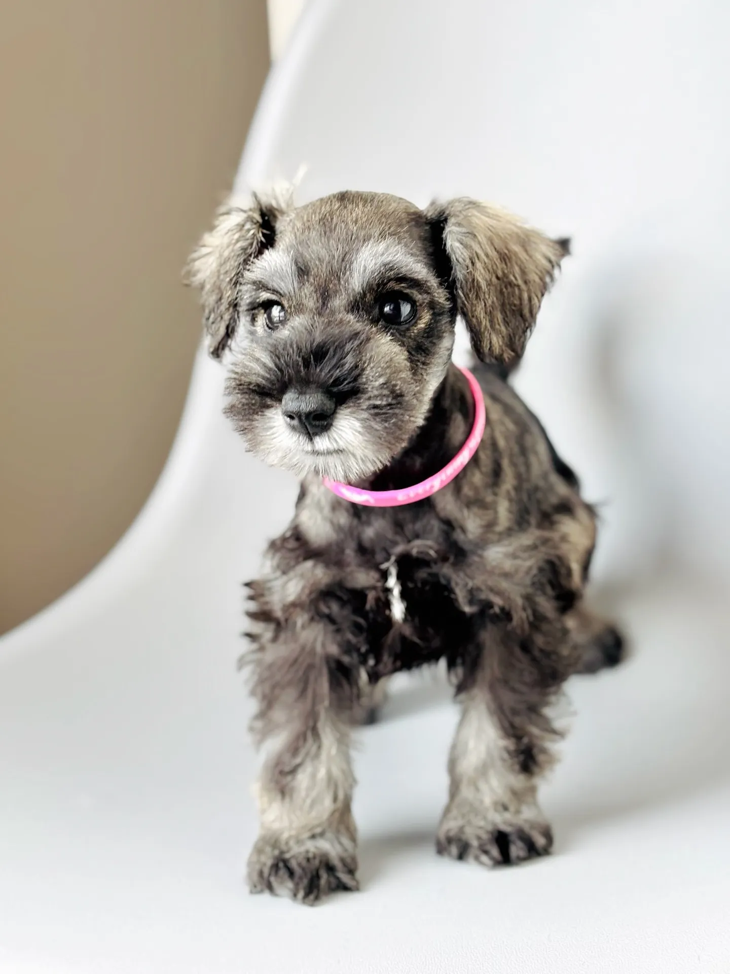 2025/05/11生まれ　女の子