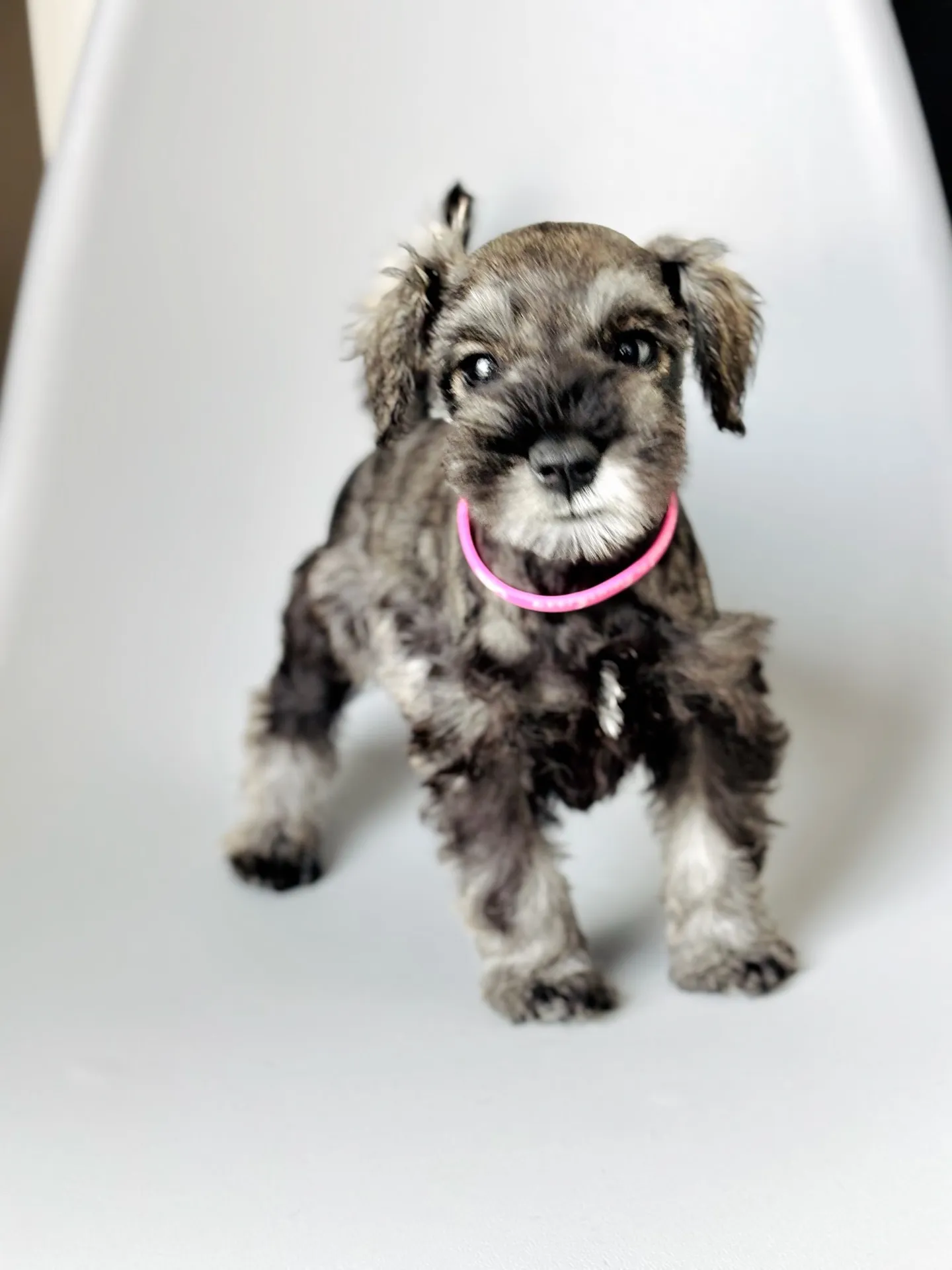 2025/05/11生まれ　女の子