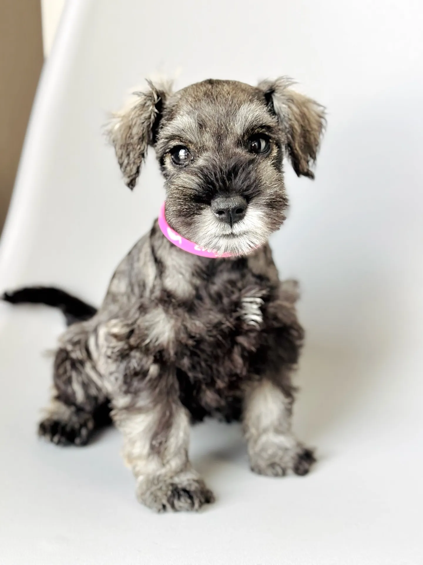 2025/05/11生まれ　女の子