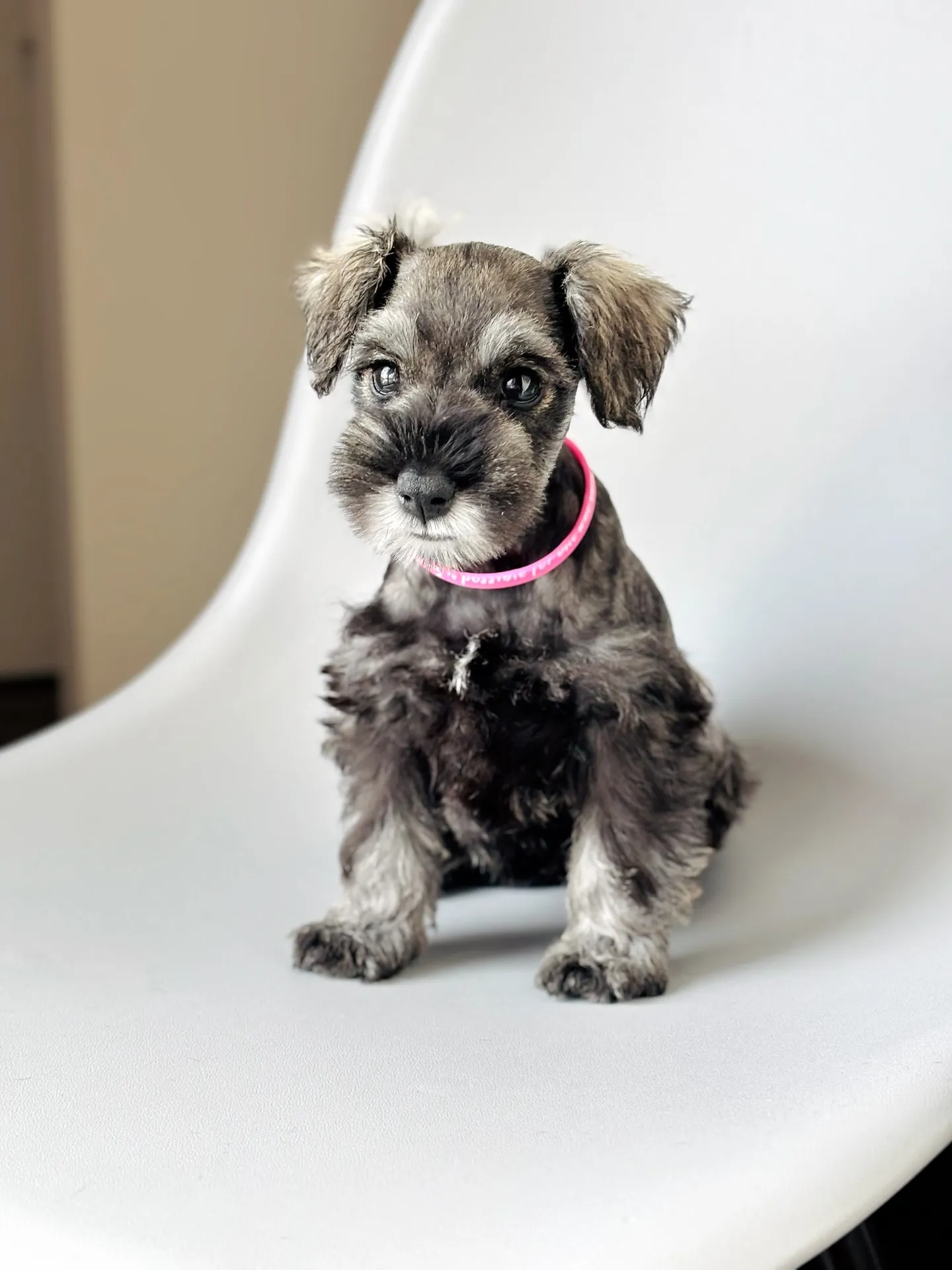 2025/05/11生まれ　女の子