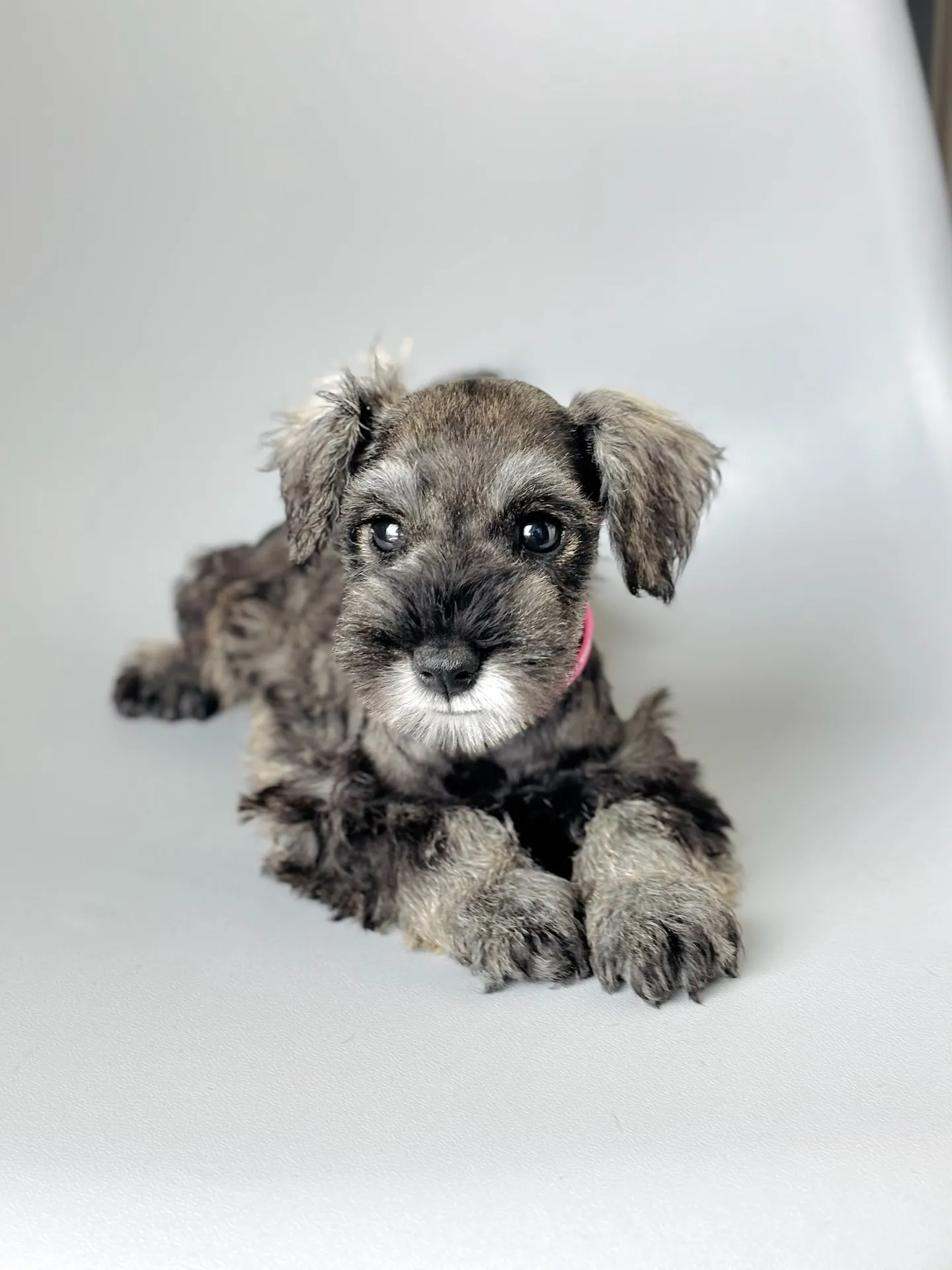 2025/05/11生まれ　女の子