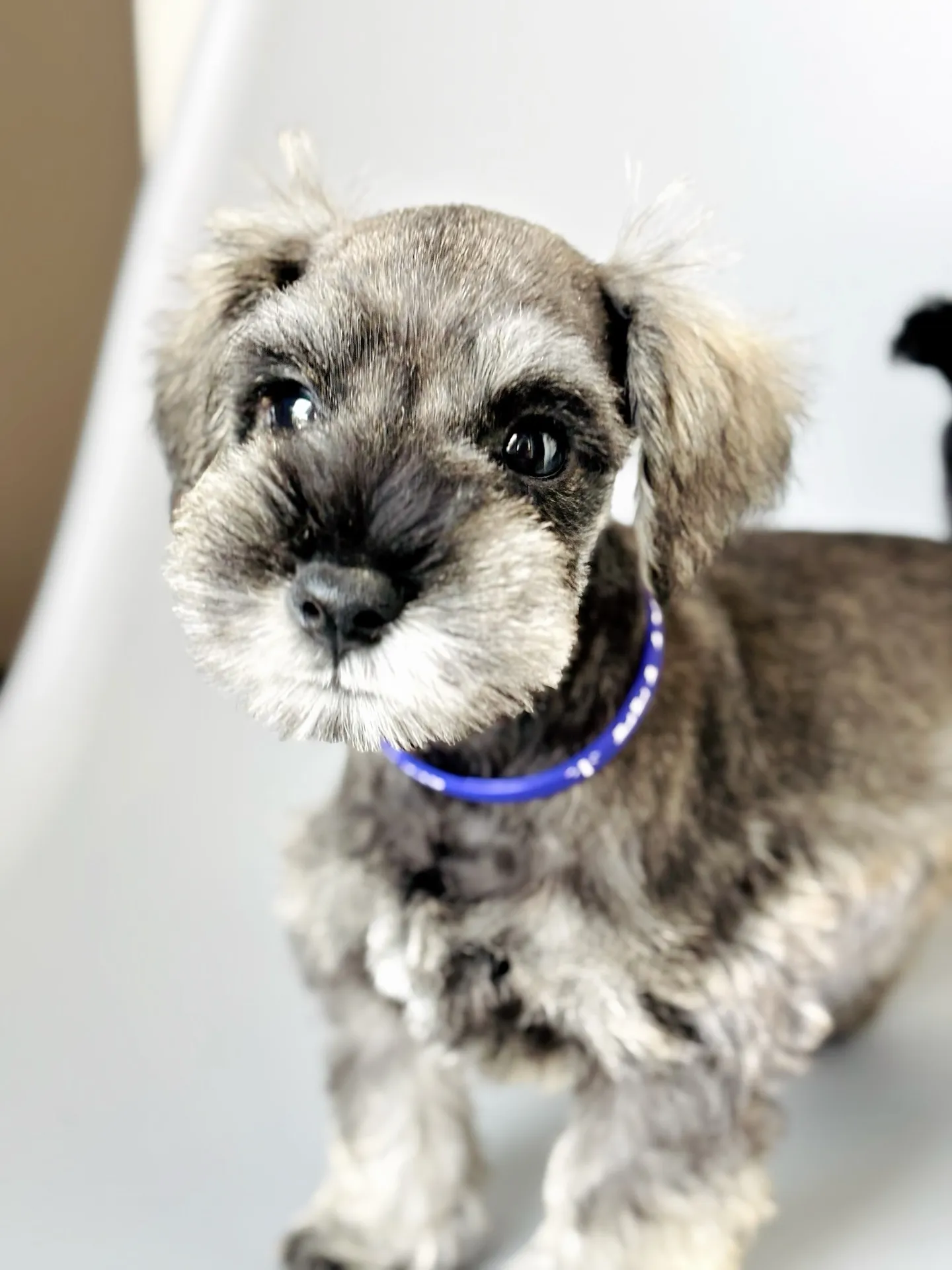 2025/05/11生まれ　男の子