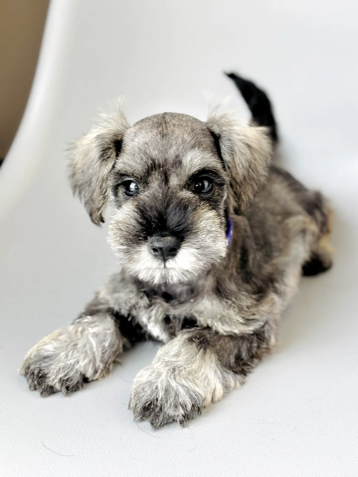 2025/05/11生まれ　男の子