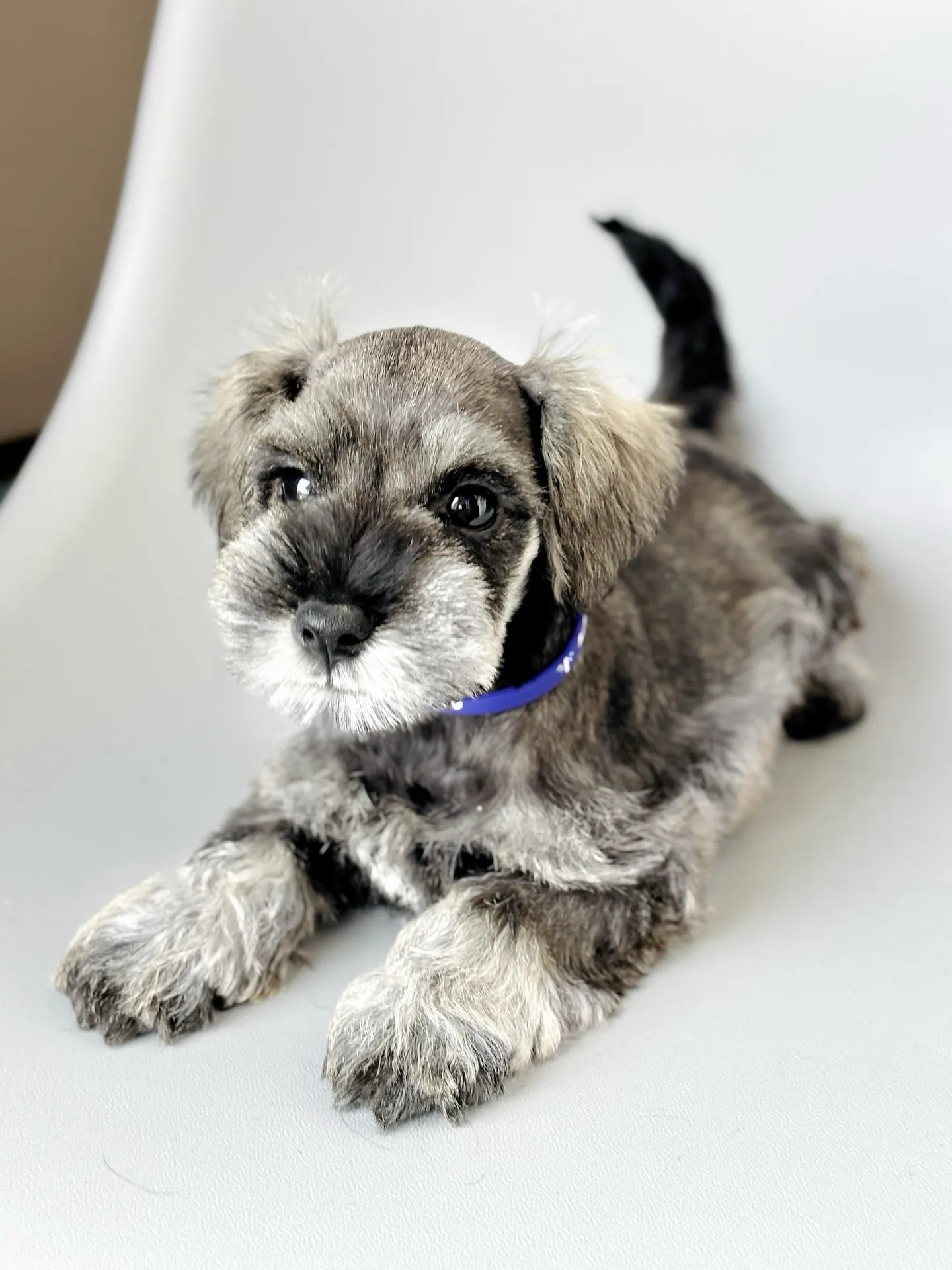 2025/05/11生まれ　男の子