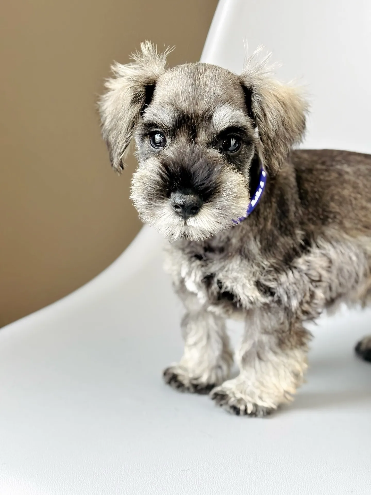 2025/05/11生まれ　男の子