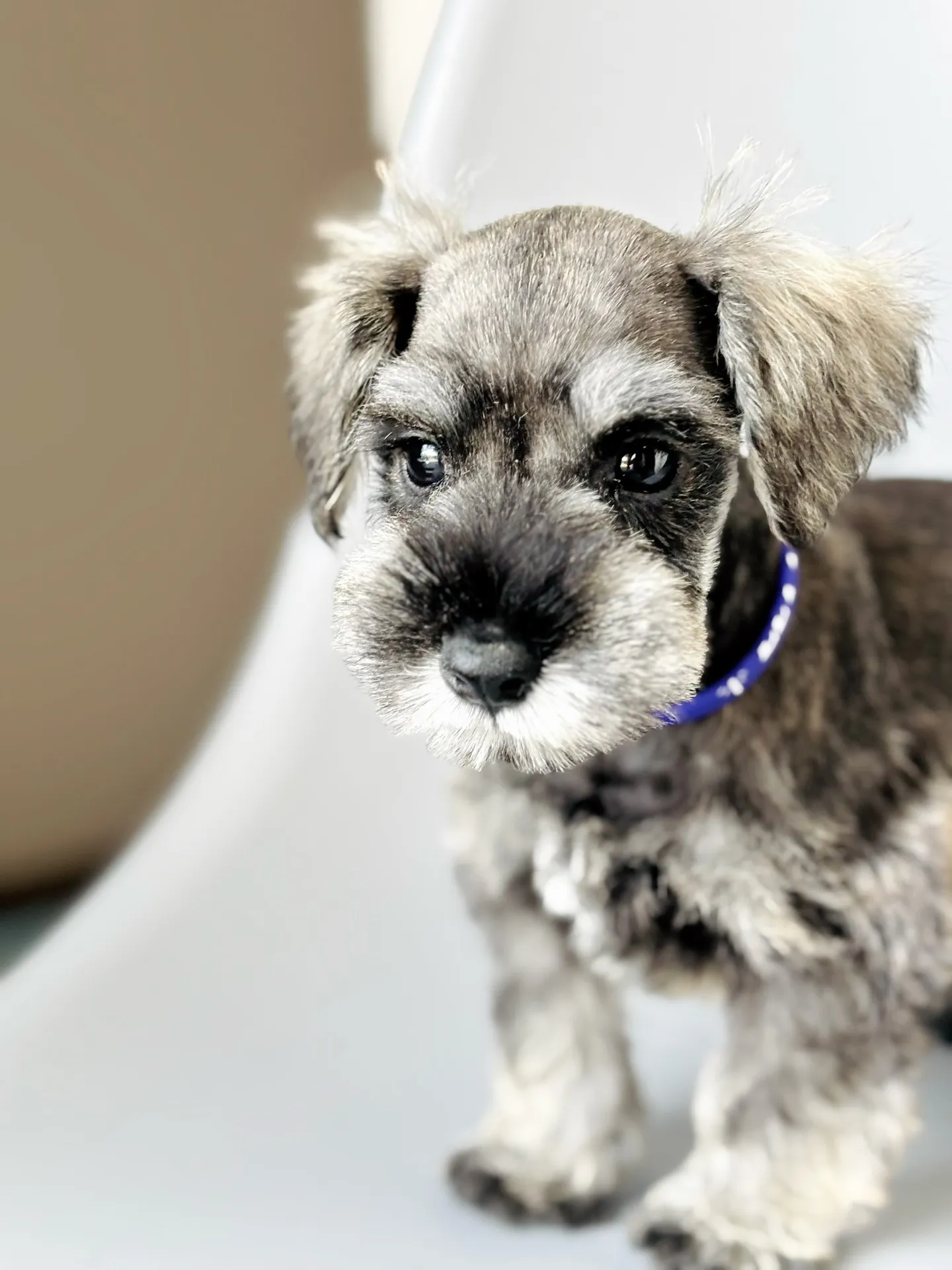 2025/05/11生まれ　男の子