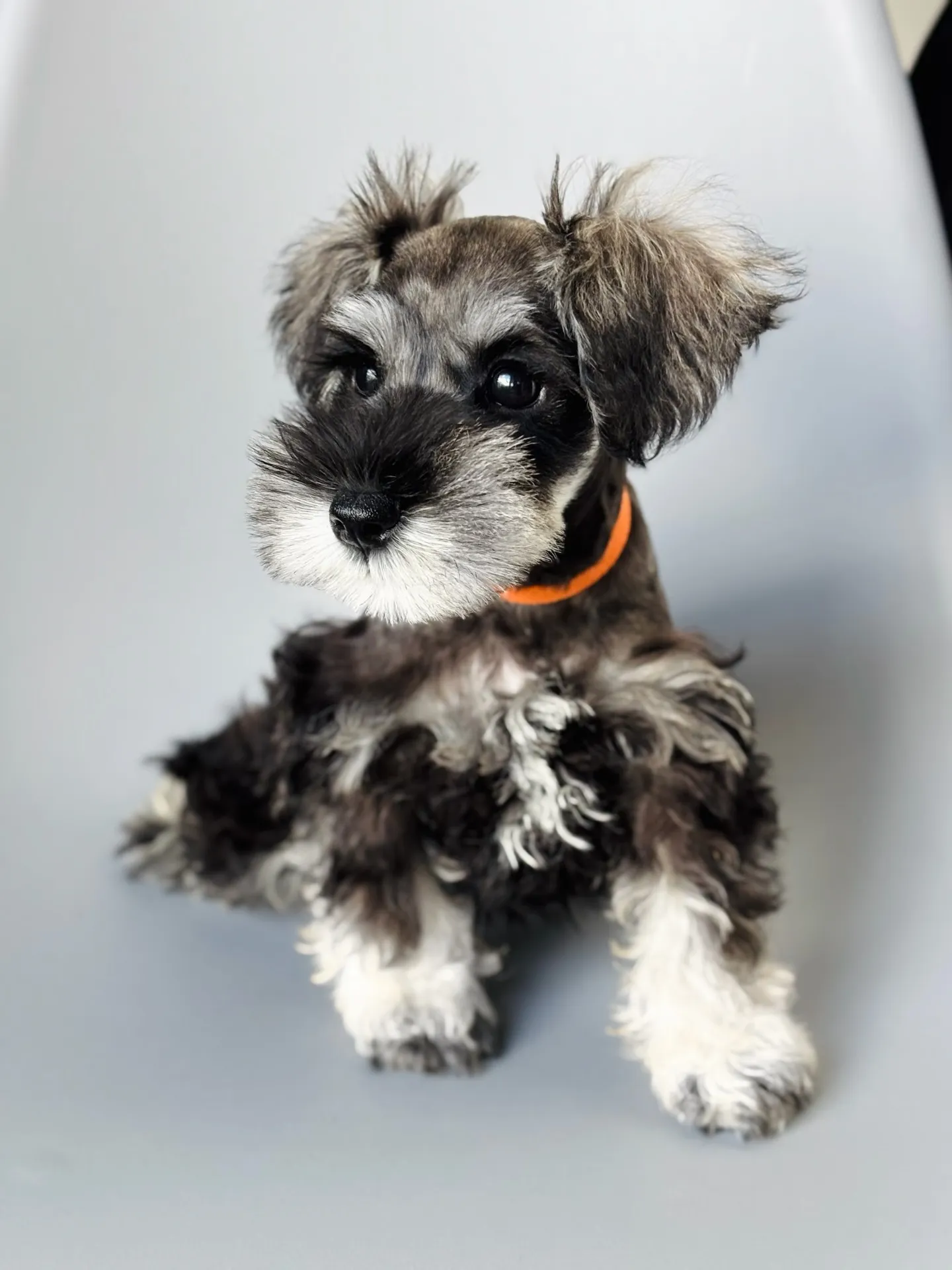 2025/05/14生まれ　男の子