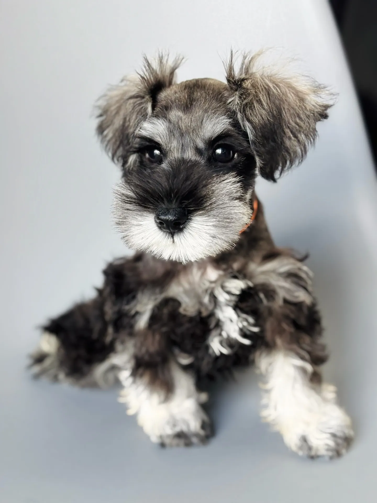 2025/05/14生まれ　男の子