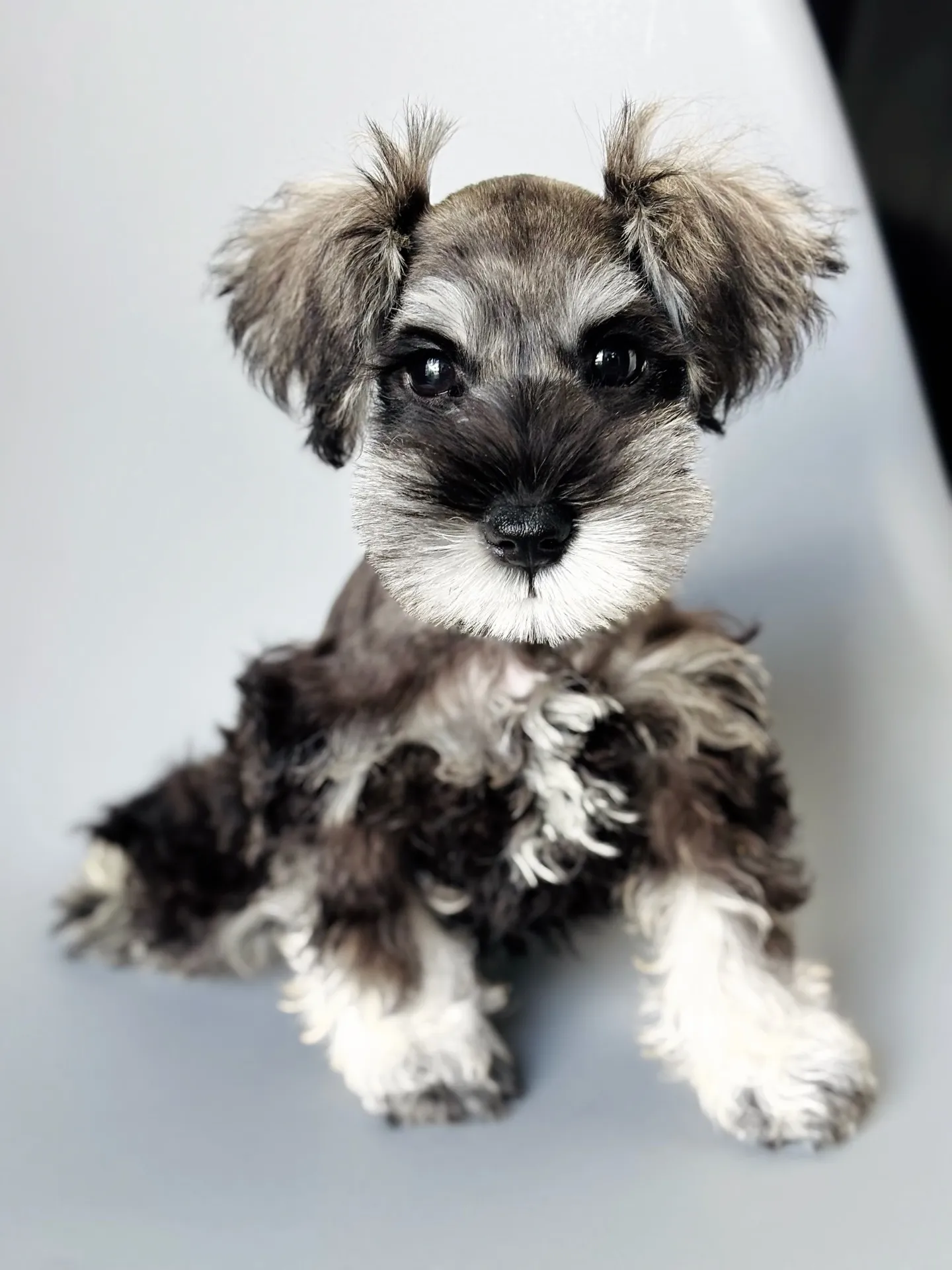 2025/05/14生まれ　男の子