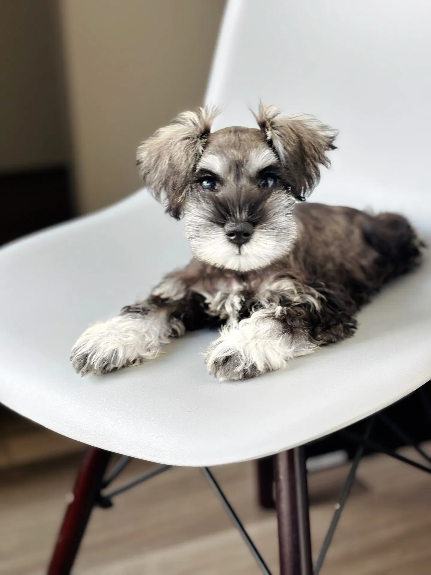 2025/05/14生まれ　男の子