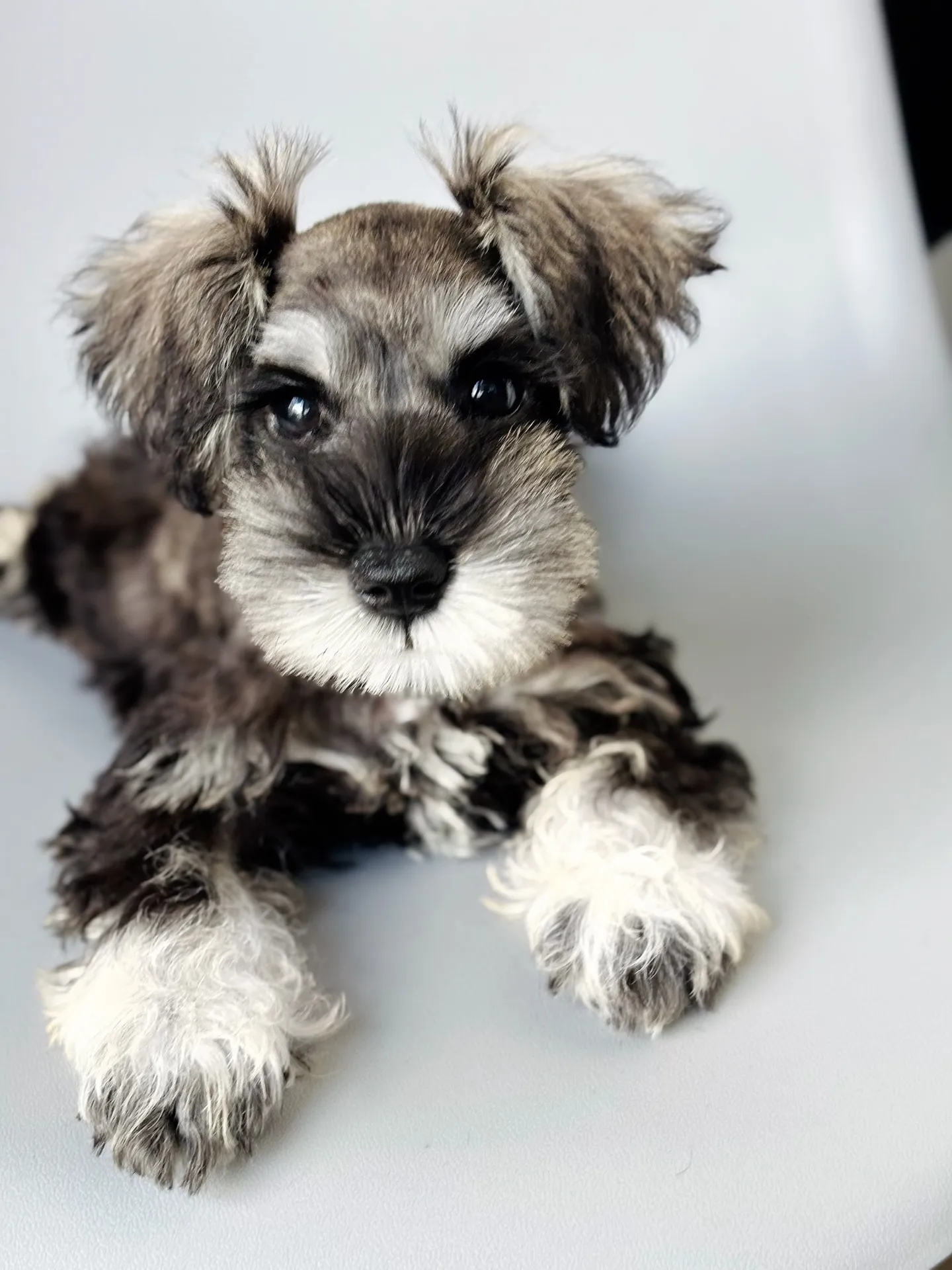 2025/05/14生まれ　男の子